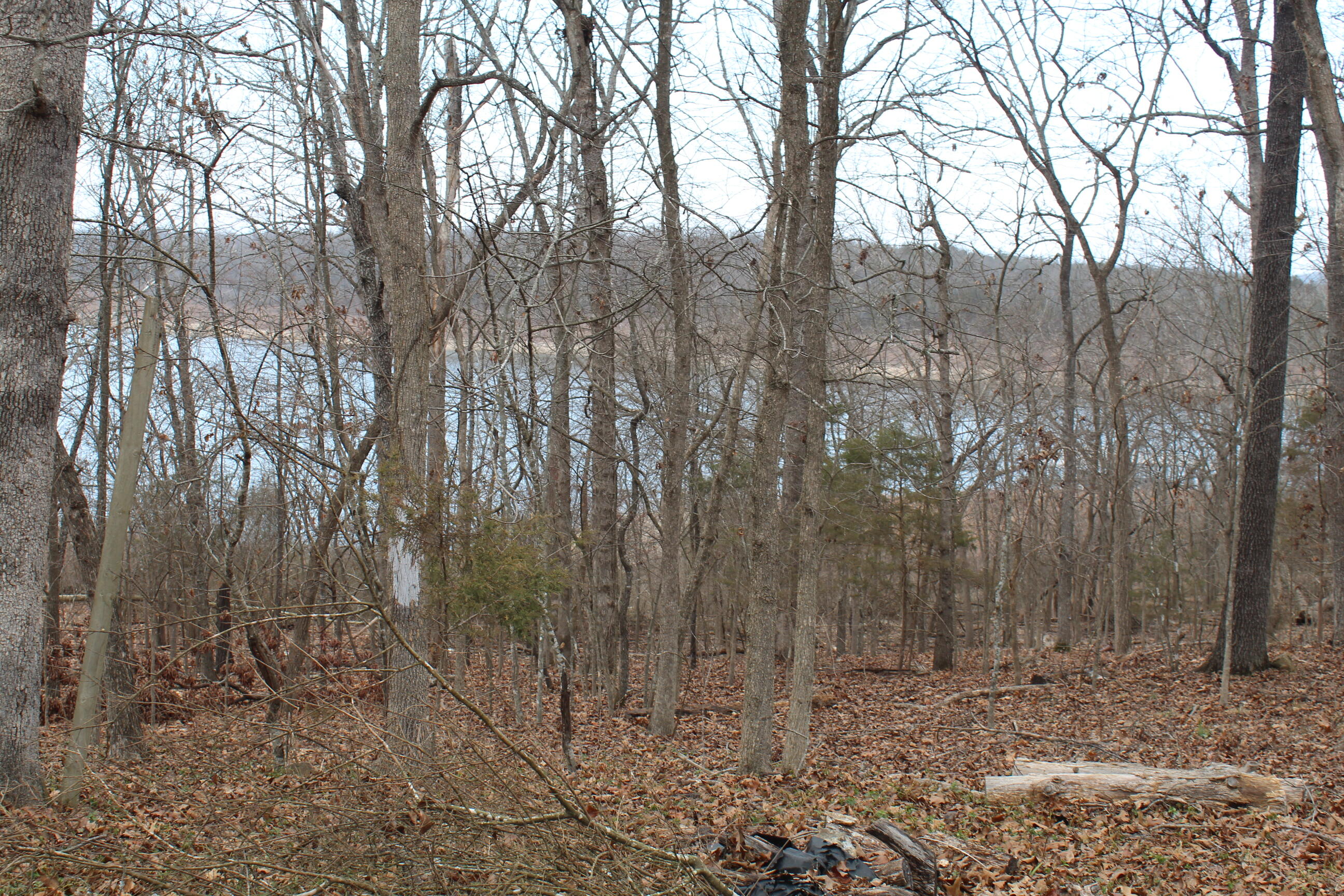 269 Morse Avenue Property Photo 43