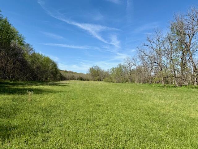 000 County Road 117 Property Photo 1