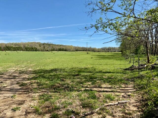 000 County Road 117 Property Photo 3