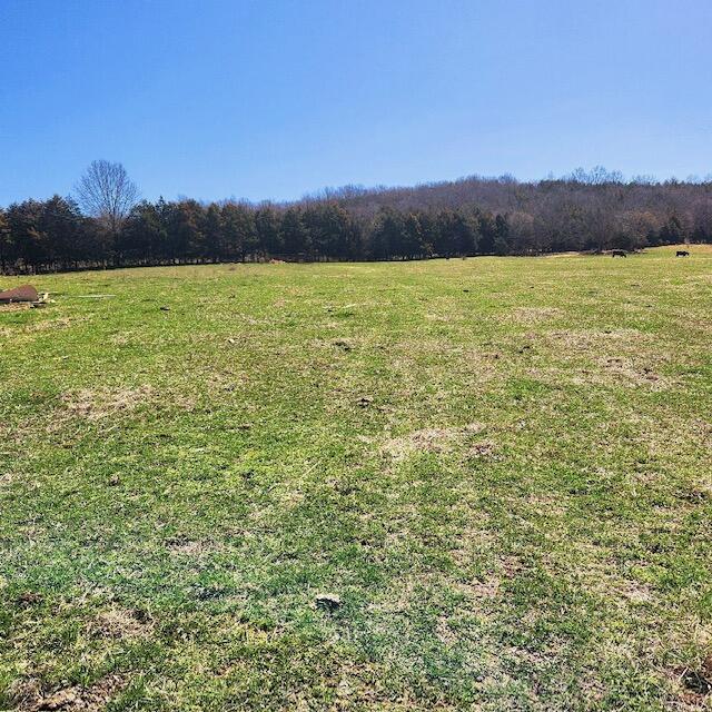 000 County Road 117 Property Photo 4