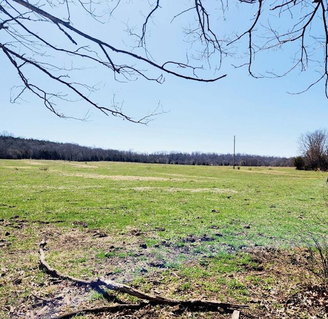000 County Road 117 Property Photo 8