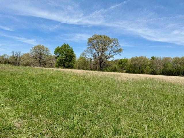 000 Highway 76 Property Photo 3