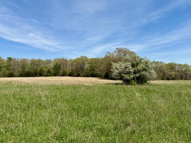 000 Highway 76 Property Photo 4