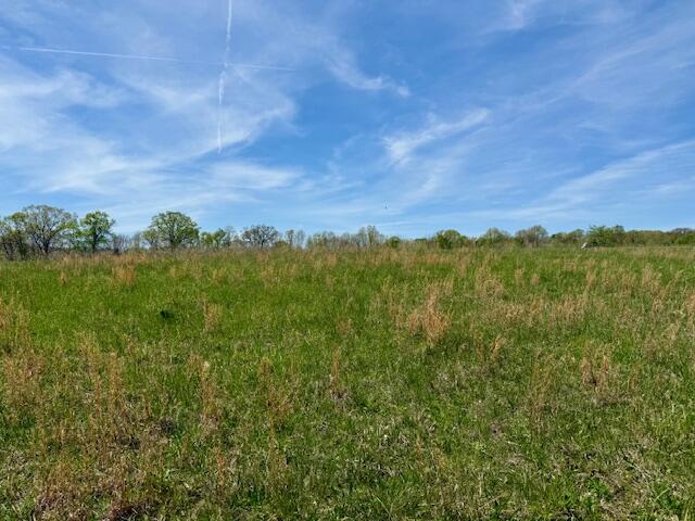000 Highway 76 Property Photo 6
