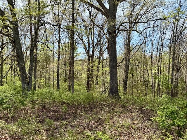 000 Highway 76 Property Photo 9