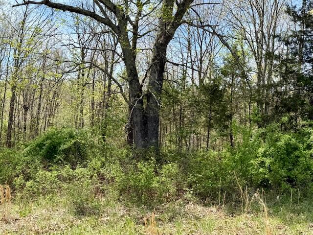 000 Highway 76 Property Photo 10
