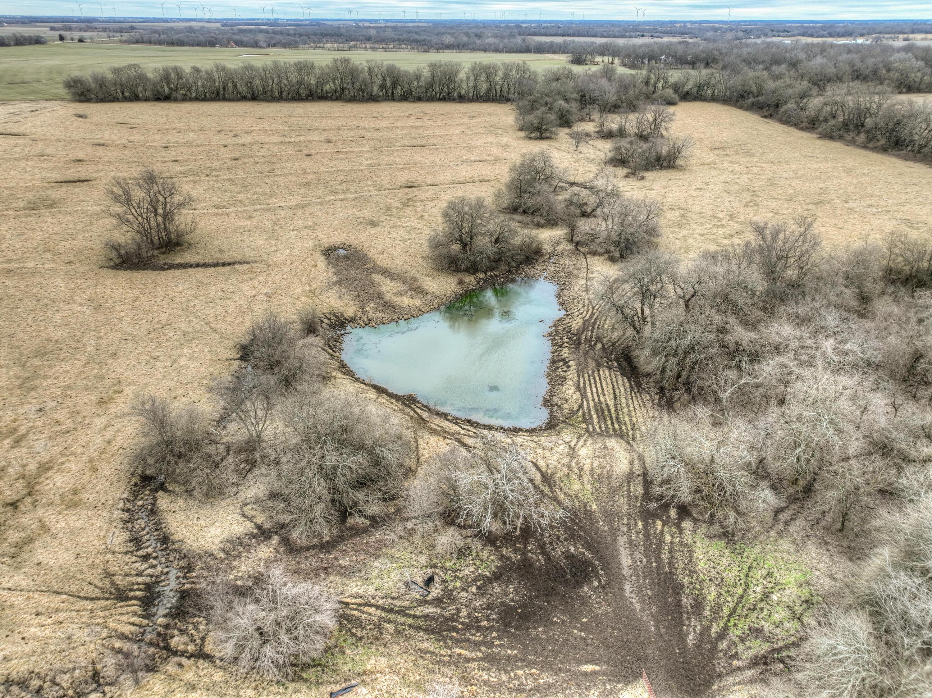 15799 County Road 80 Property Photo 5