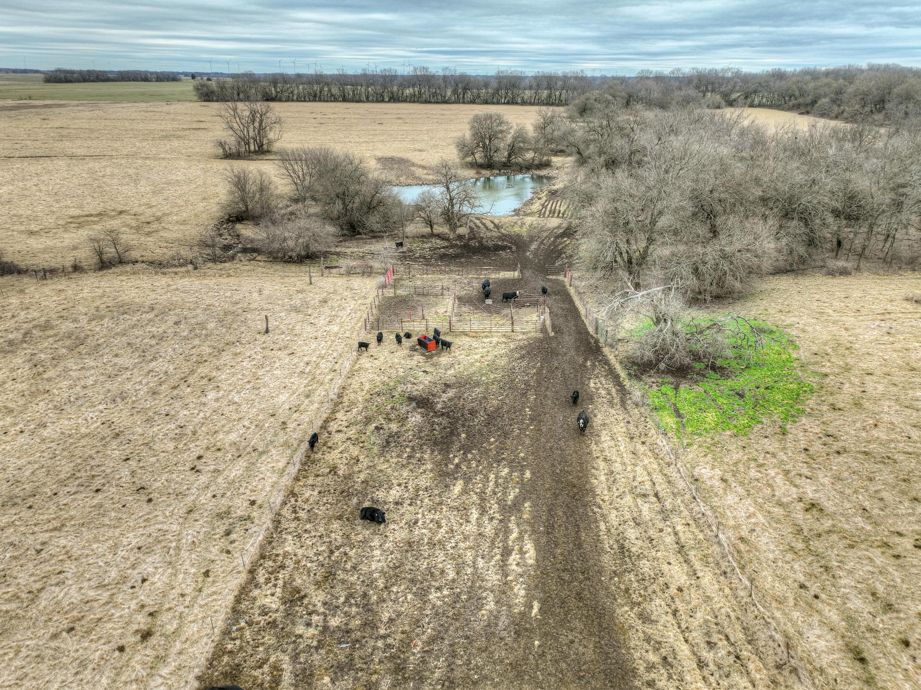 15799 County Road 80 Property Photo 6