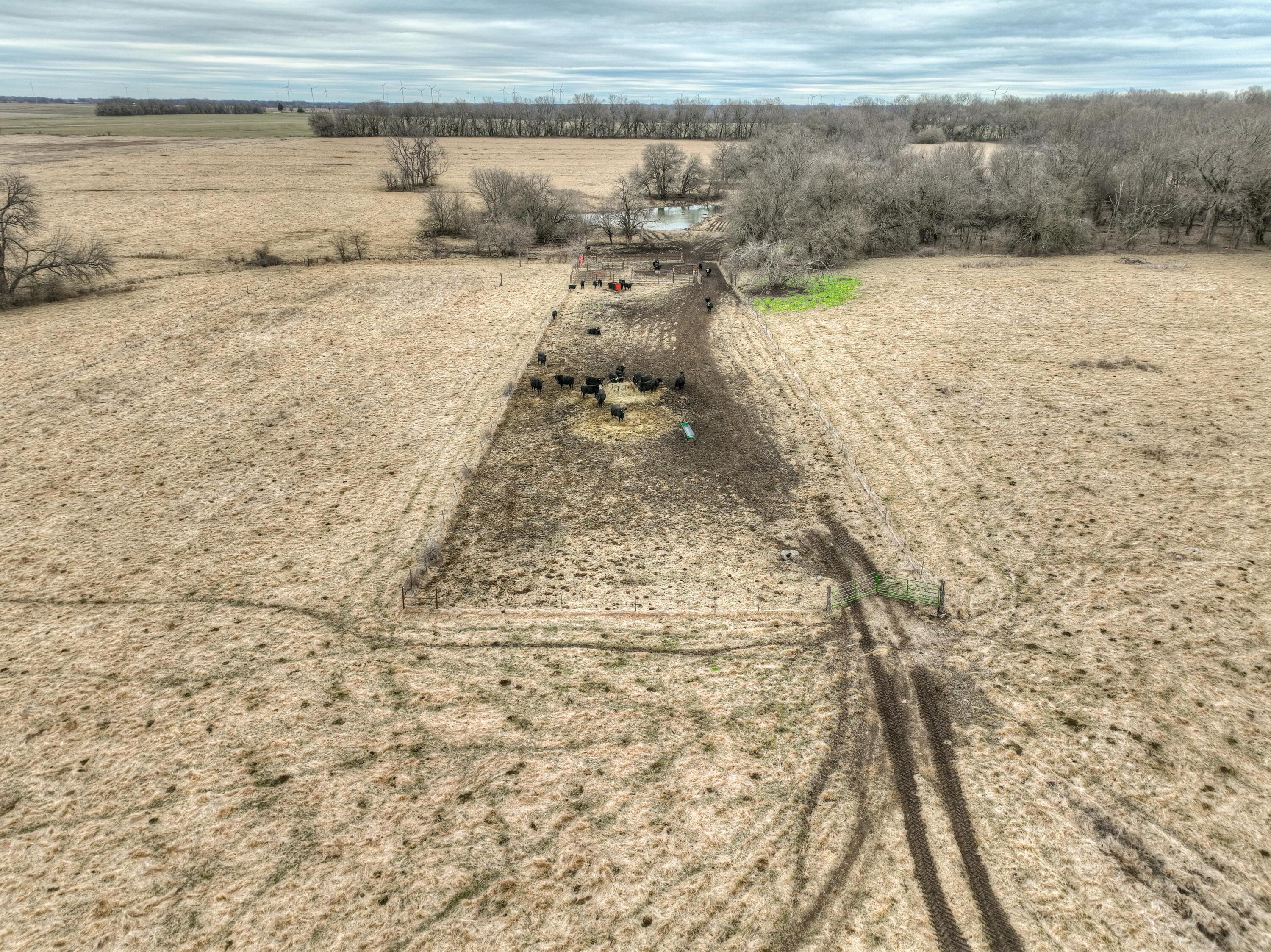 15799 County Road 80 Property Photo 7