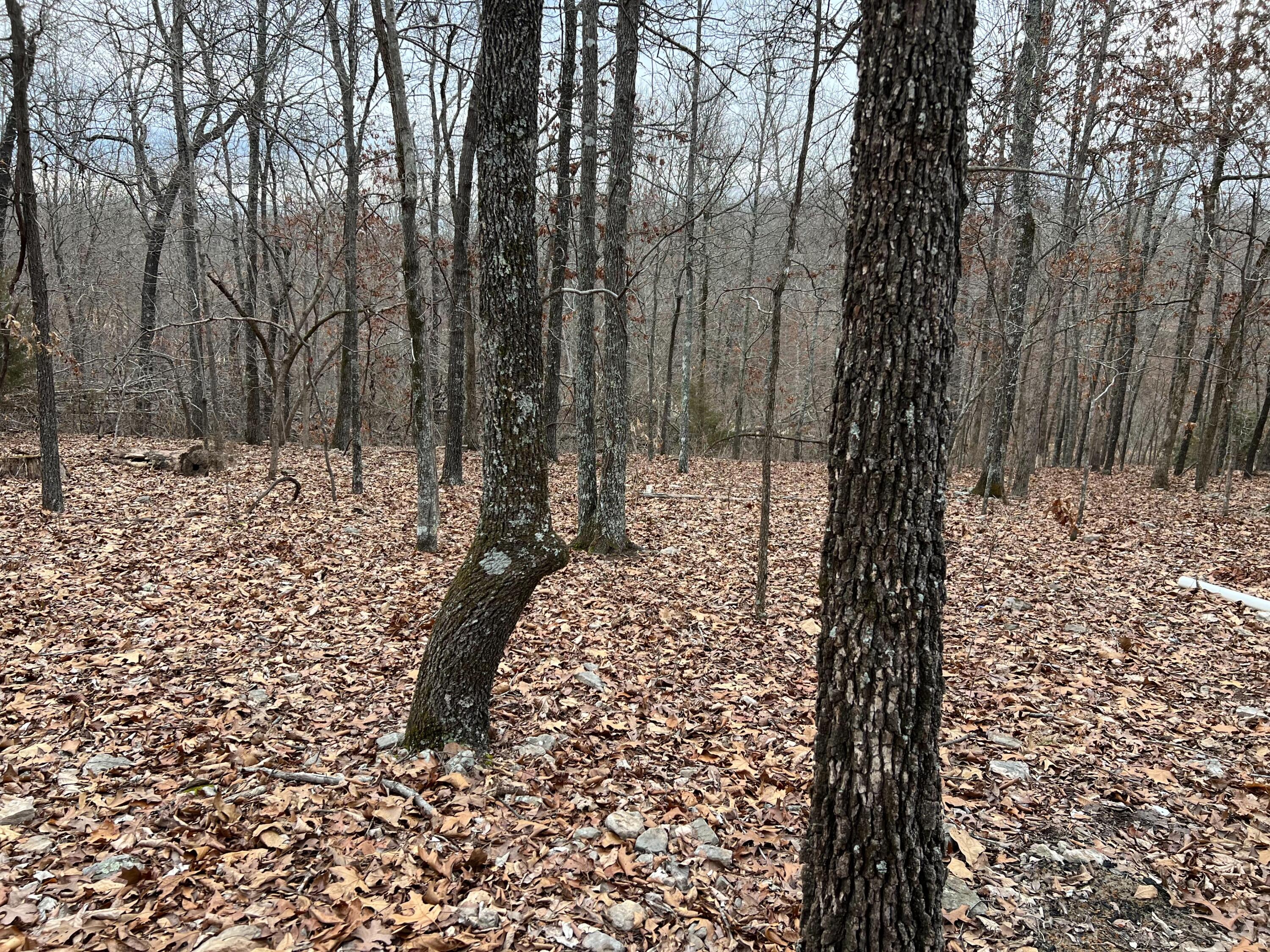 1001 Foxfield Road Property Photo 2