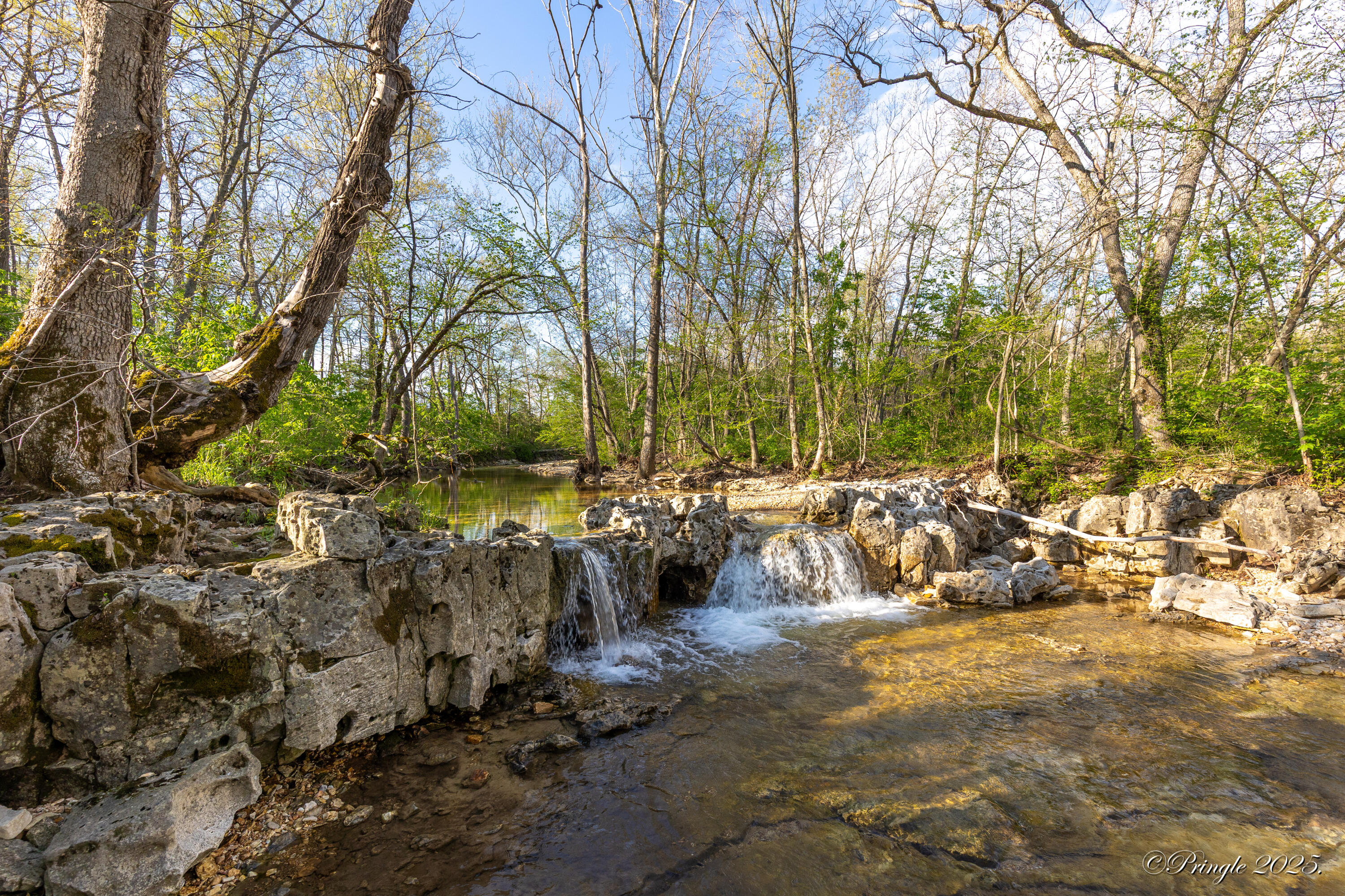 Rt. 1 Box 3530 County Road 14-531 Property Photo 1
