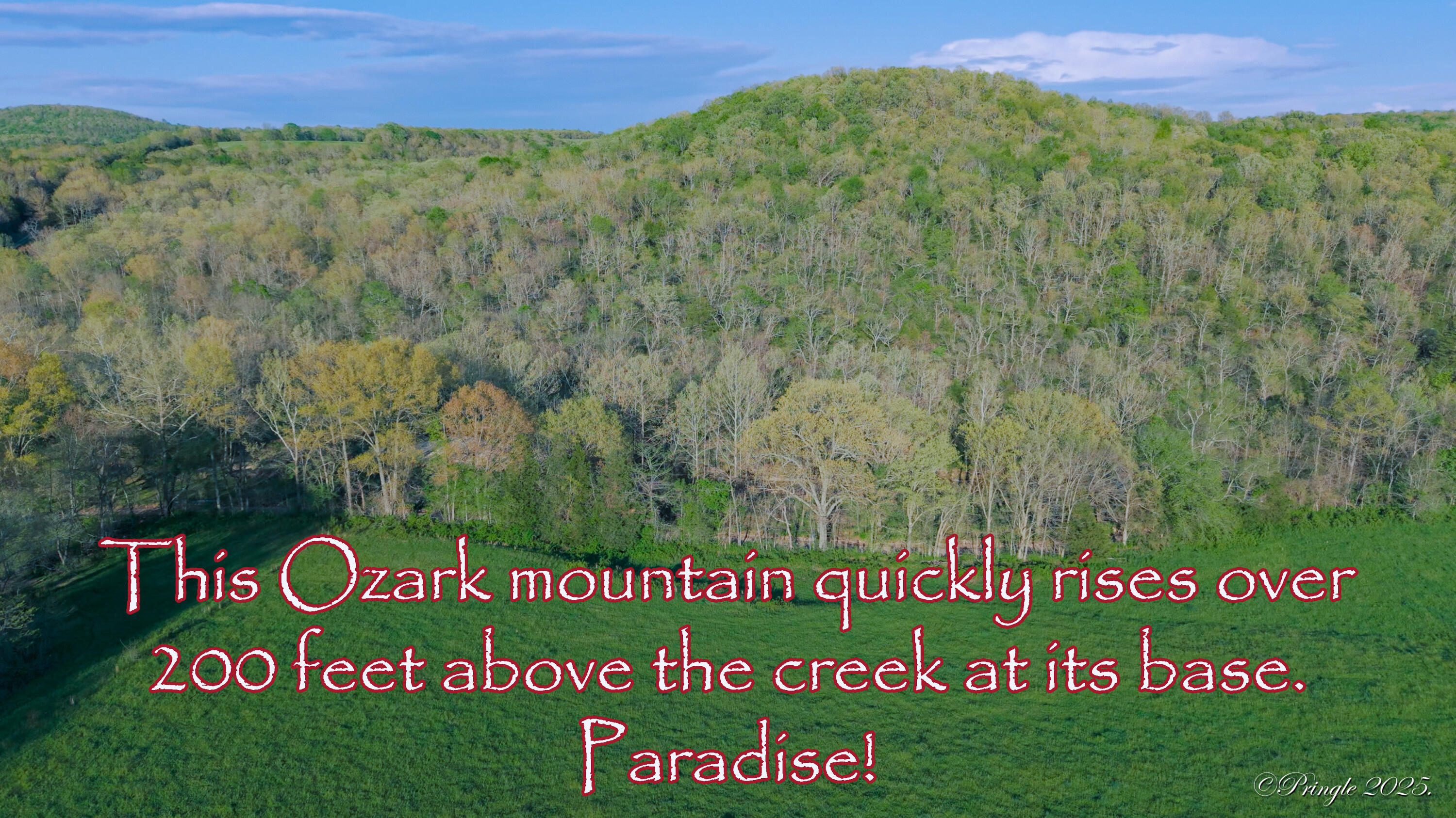 Rt. 1 Box 3530 County Road 14-531 Property Photo 2