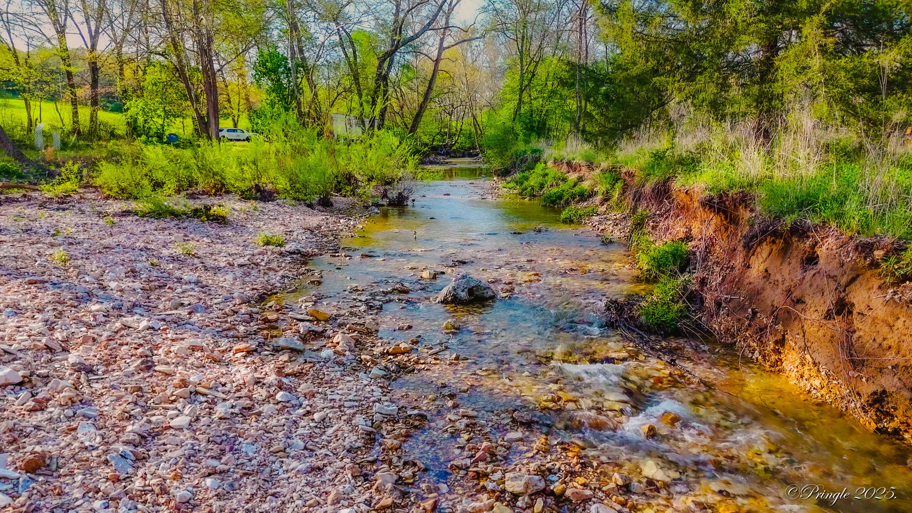 Rt. 1 Box 3530 County Road 14-531 Property Photo 3