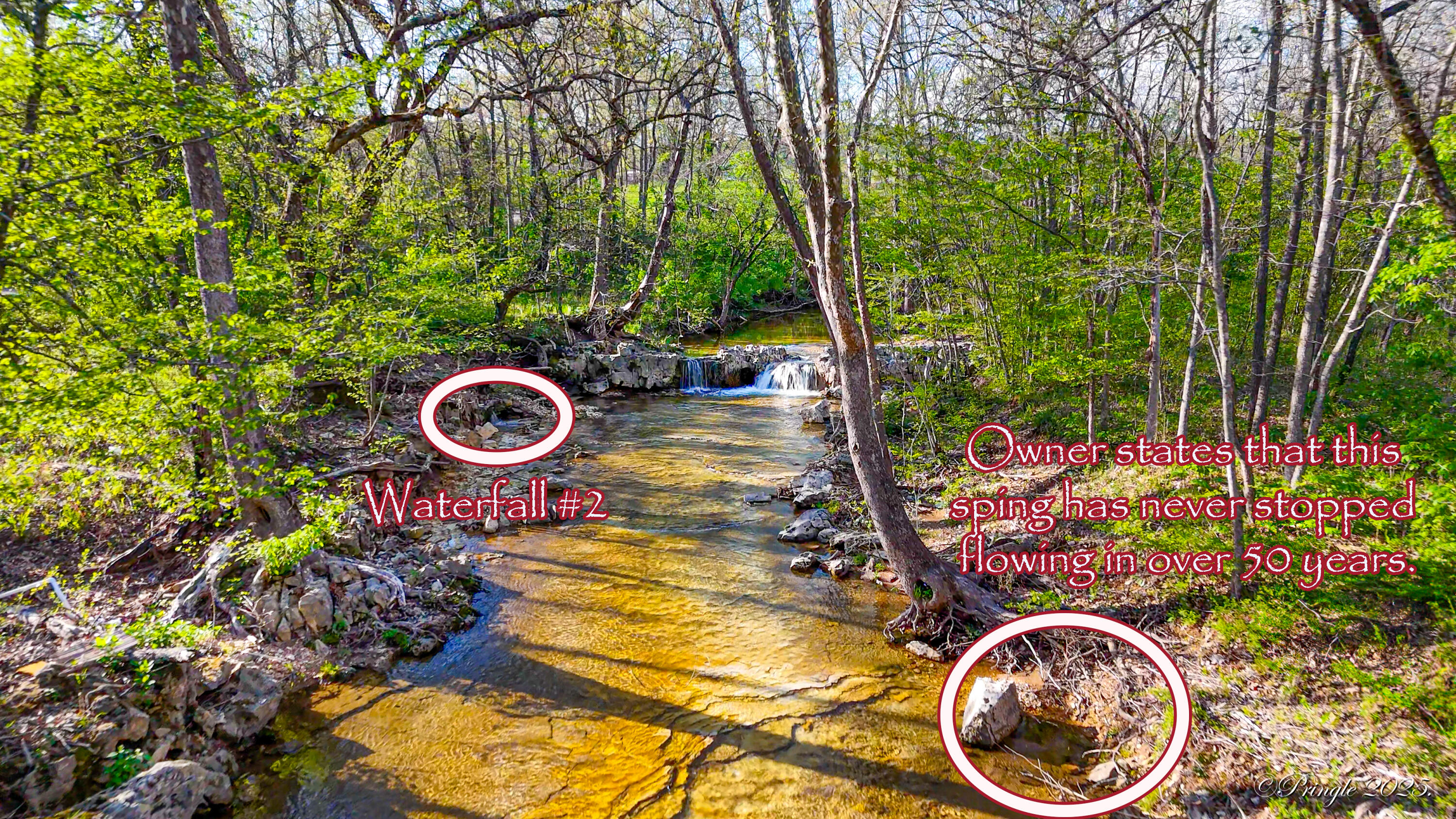 Rt. 1 Box 3530 County Road 14-531 Property Photo 5