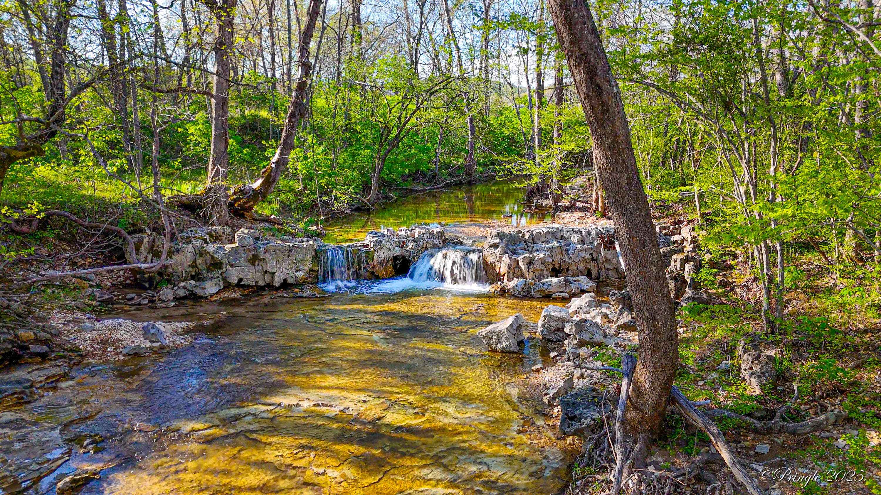 Rt. 1 Box 3530 County Road 14-531 Property Photo 6