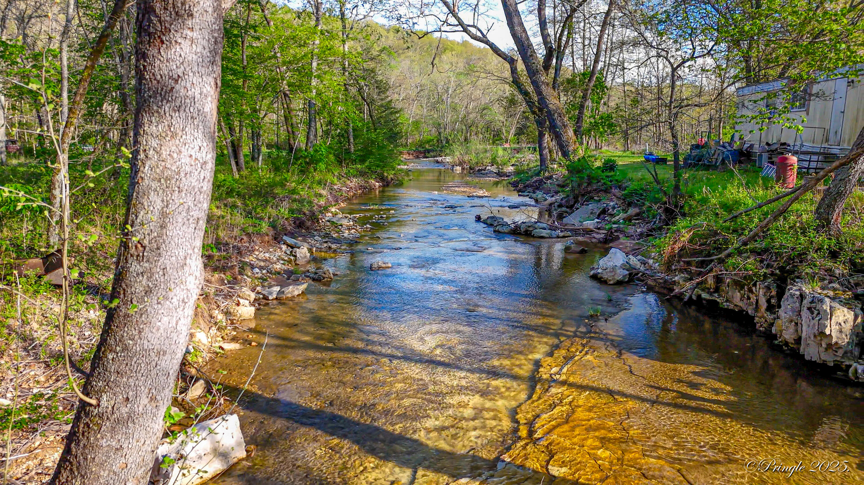Rt. 1 Box 3530 County Road 14-531 Property Photo 7