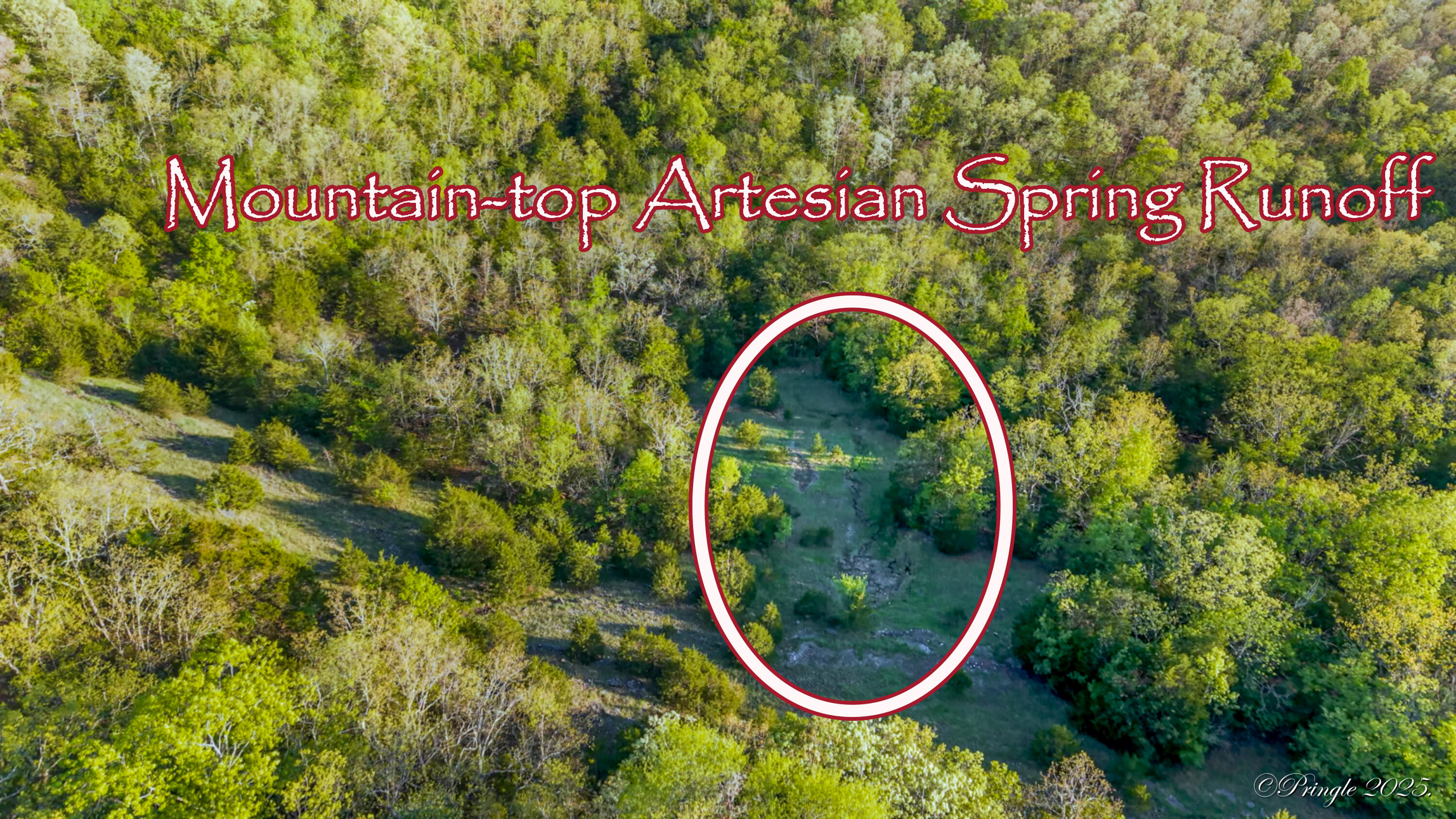 Rt. 1 Box 3530 County Road 14-531 Property Photo 11