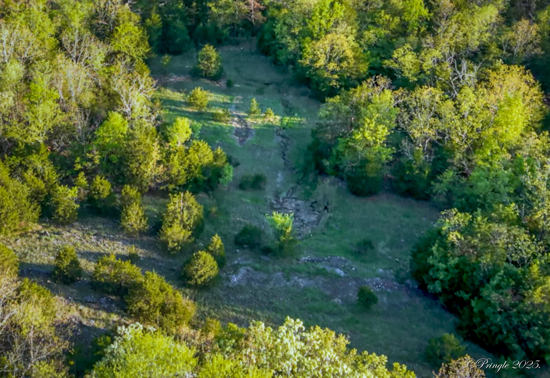 Rt. 1 Box 3530 County Road 14-531 Property Photo 12