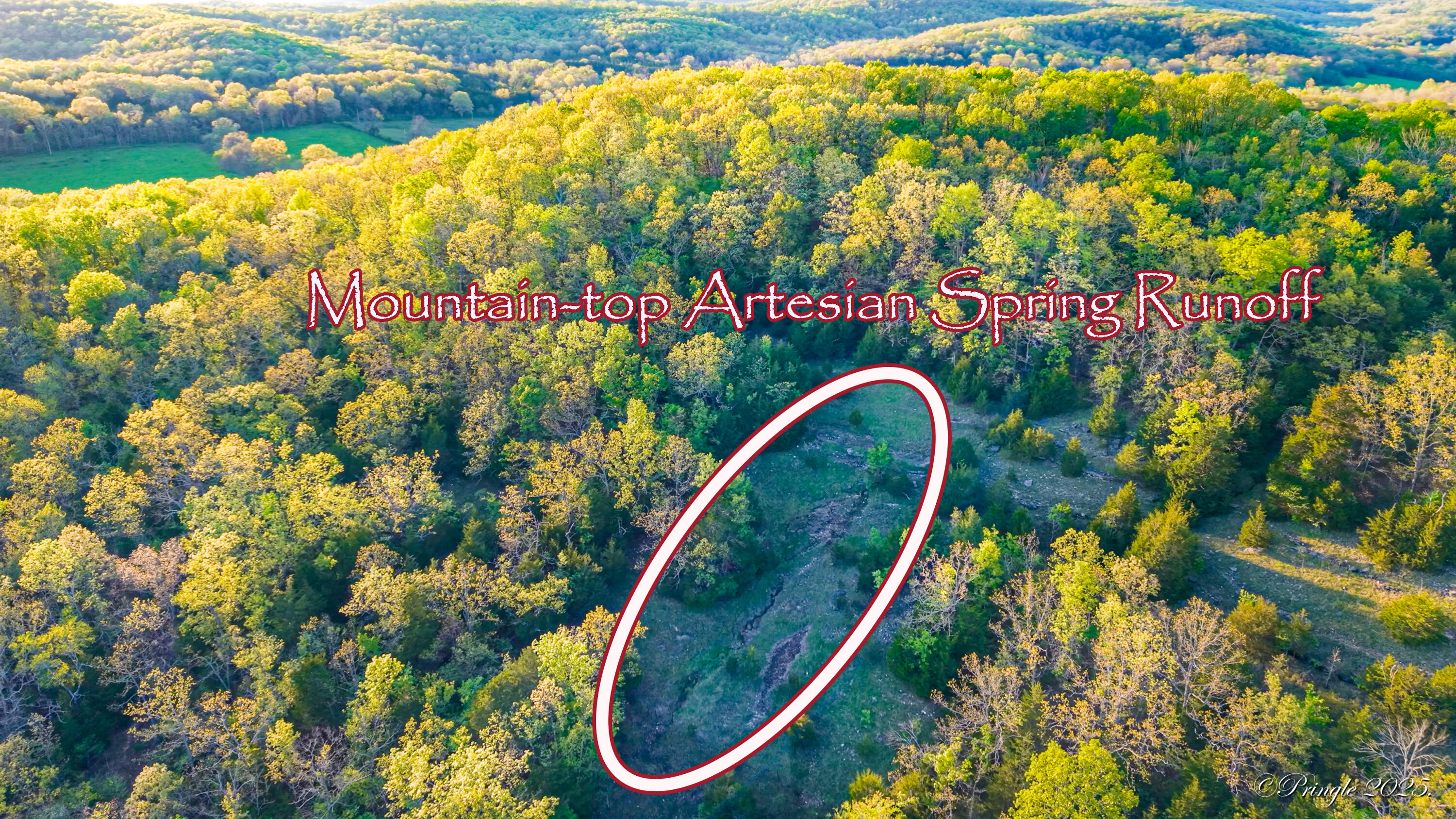 Rt. 1 Box 3530 County Road 14-531 Property Photo 14