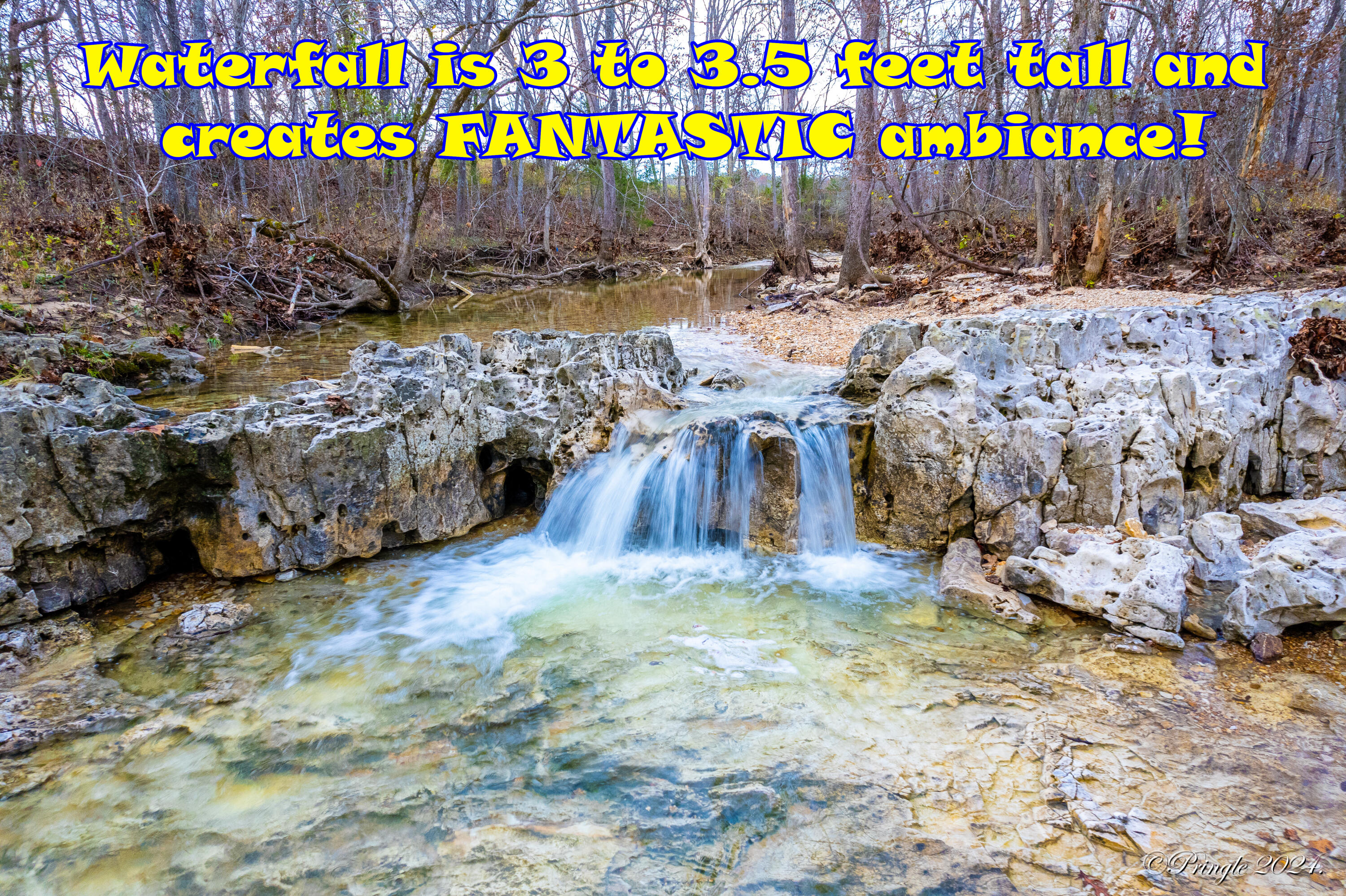 Rt. 1 Box 3530 County Road 14-531 Property Photo 17