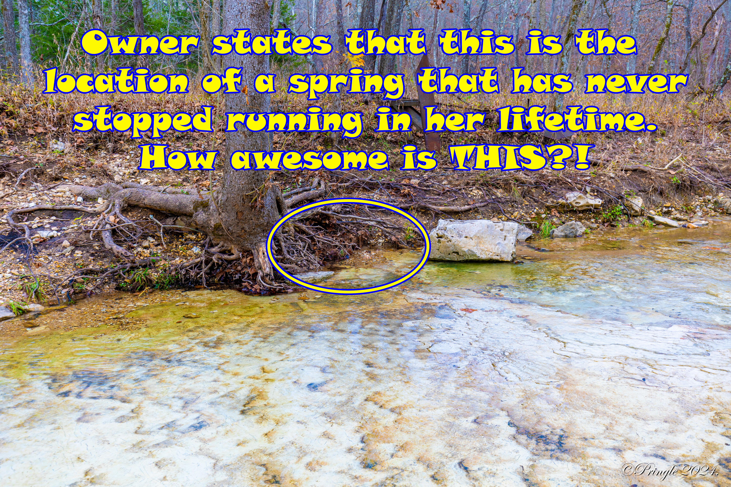 Rt. 1 Box 3530 County Road 14-531 Property Photo 18