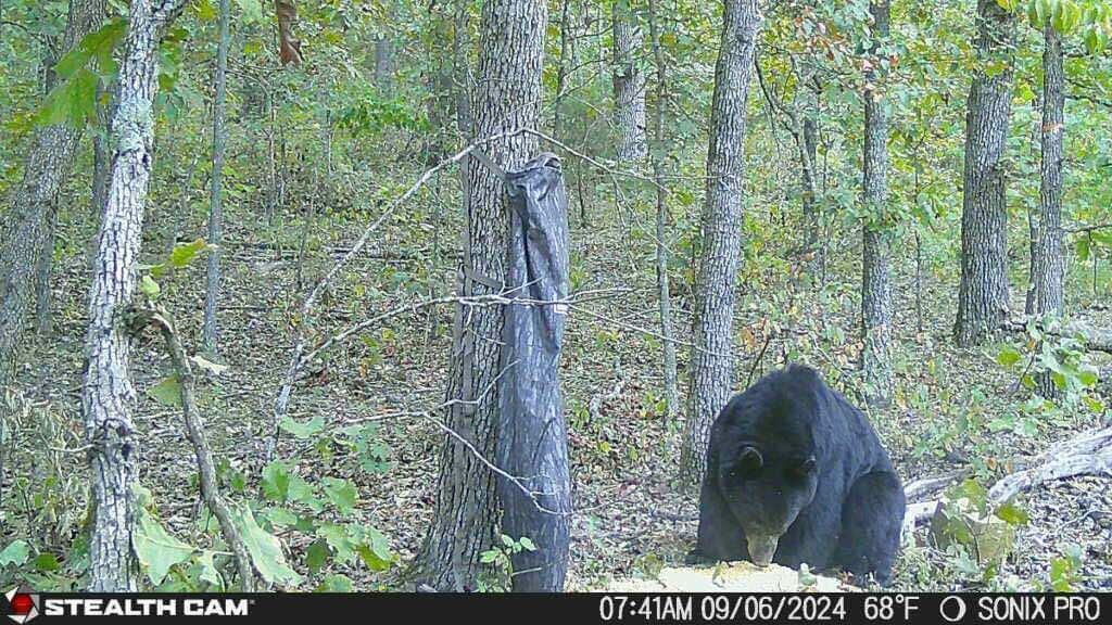 Rt. 1 Box 3530 County Road 14-531 Property Photo 21