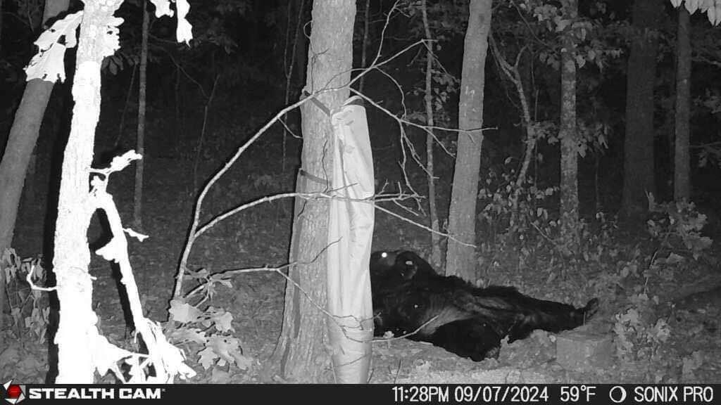 Rt. 1 Box 3530 County Road 14-531 Property Photo 22