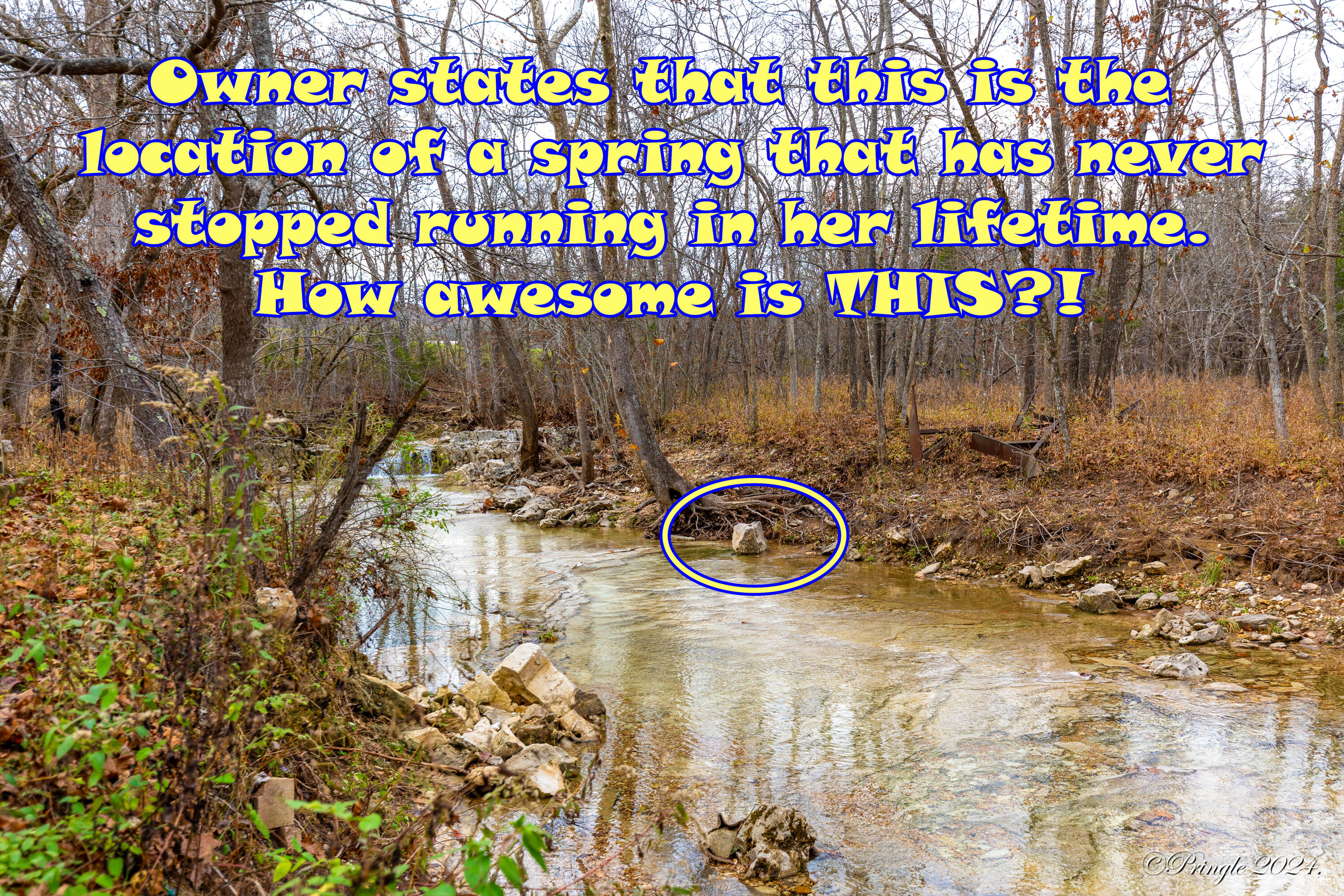 Rt. 1 Box 3530 County Road 14-531 Property Photo 26