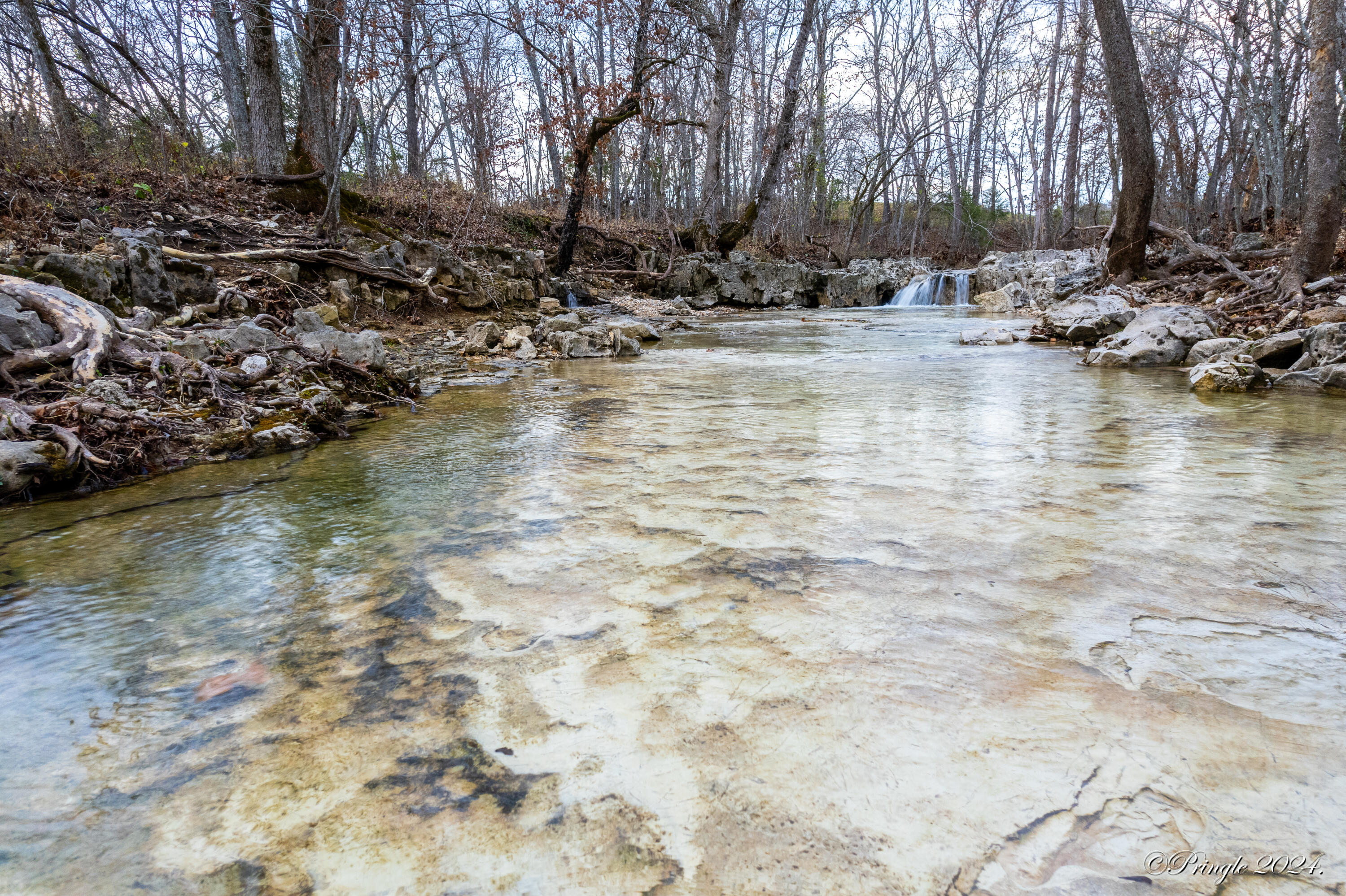 Rt. 1 Box 3530 County Road 14-531 Property Photo 31