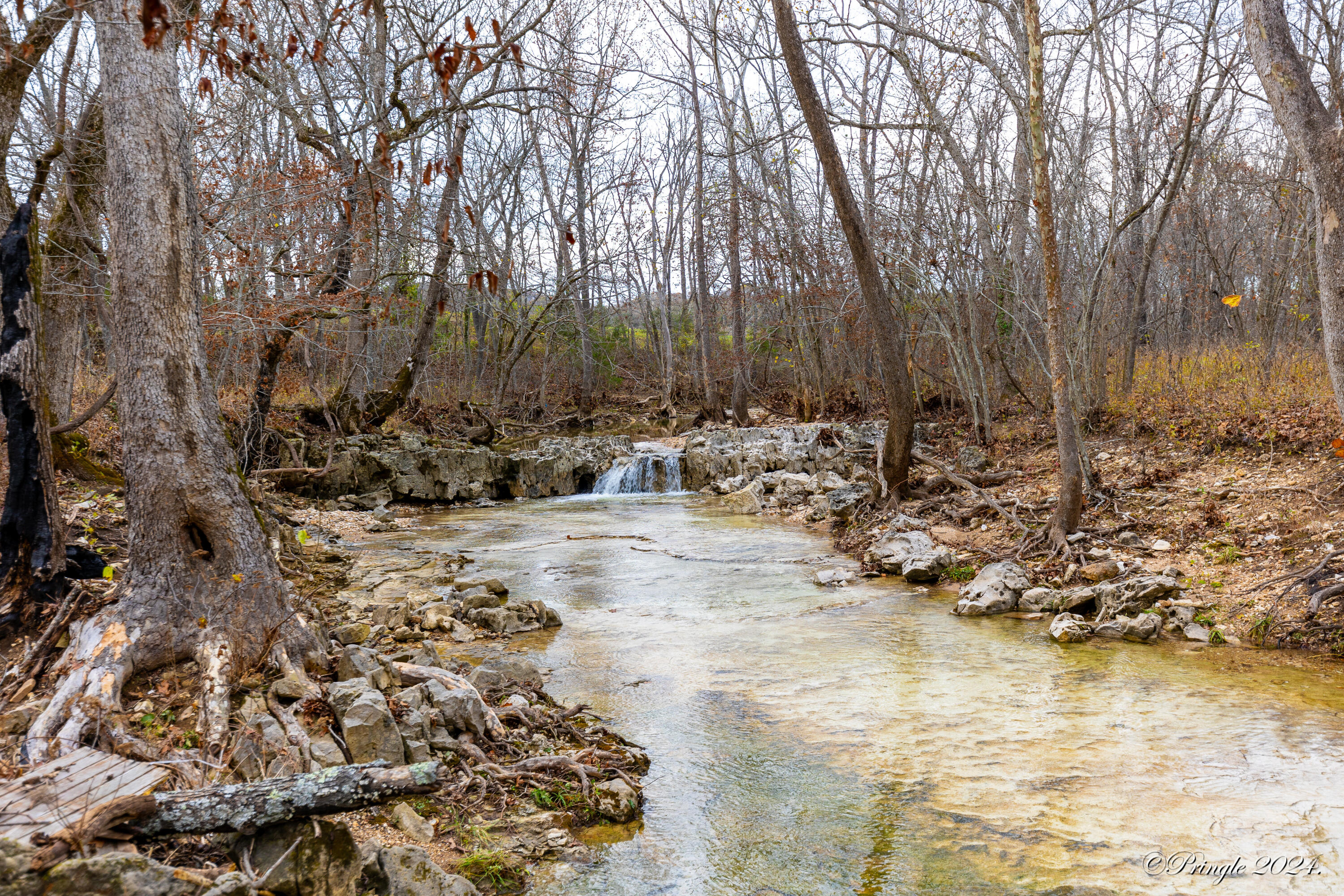 Rt. 1 Box 3530 County Road 14-531 Property Photo 32