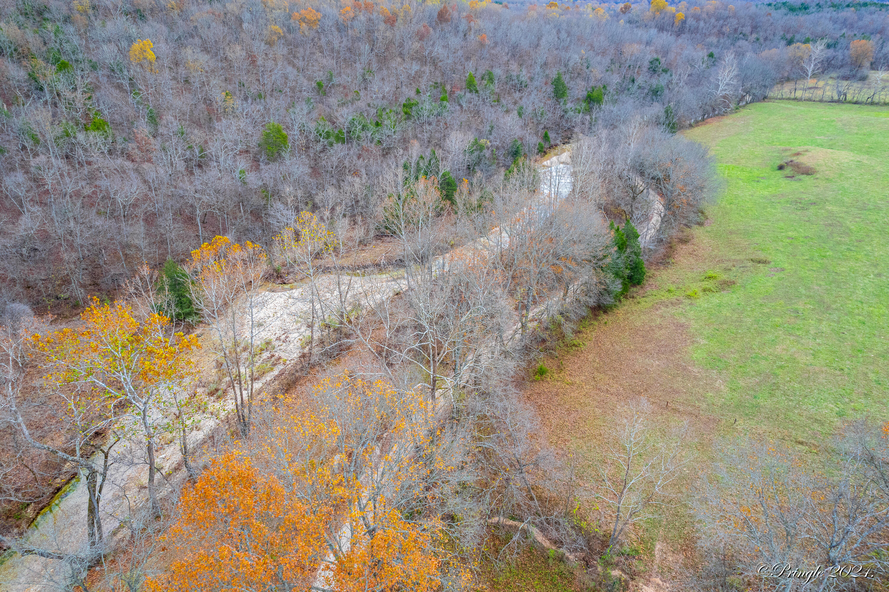 Rt. 1 Box 3530 County Road 14-531 Property Photo 38