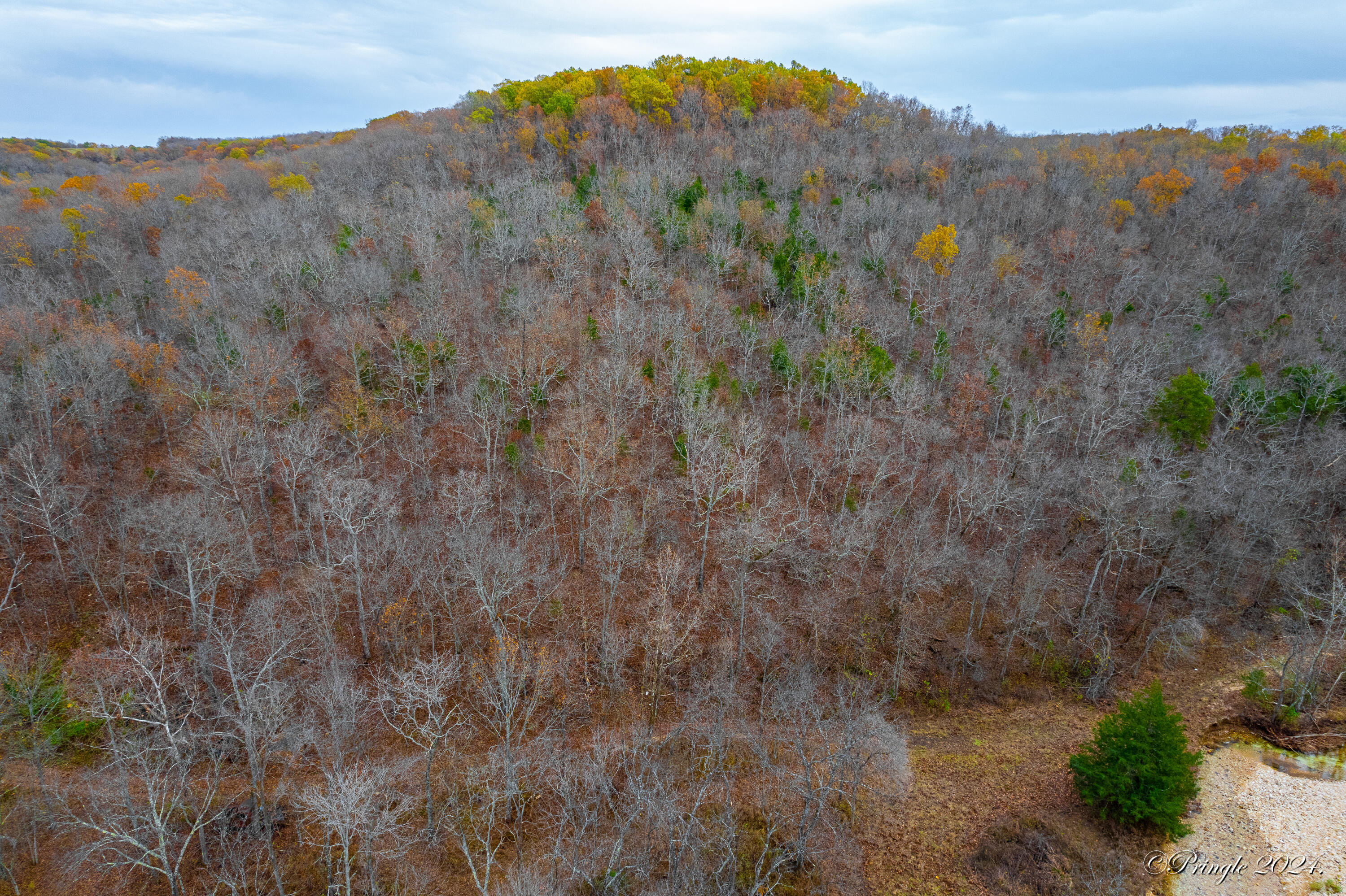 Rt. 1 Box 3530 County Road 14-531 Property Photo 40