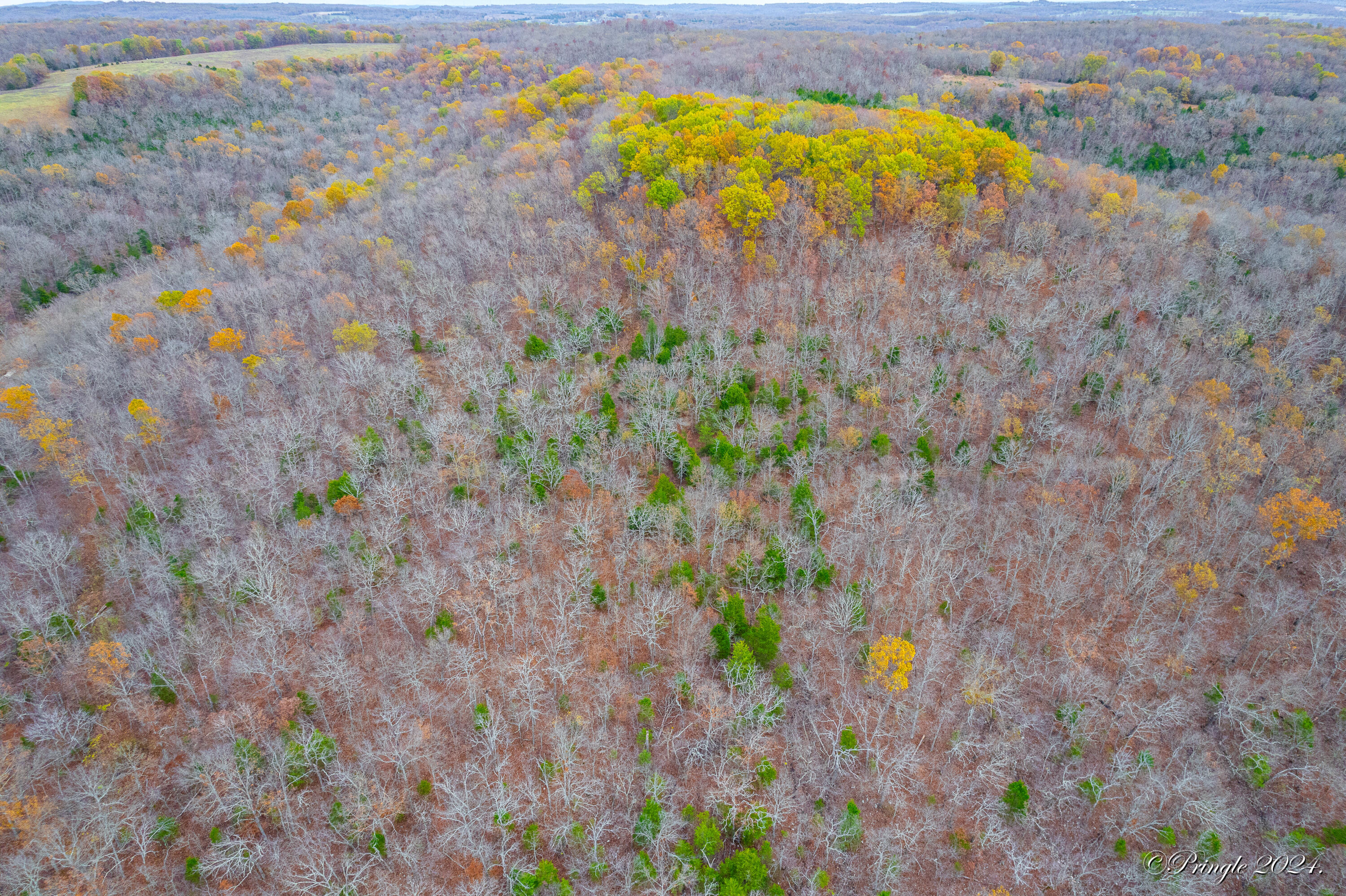 Rt. 1 Box 3530 County Road 14-531 Property Photo 41