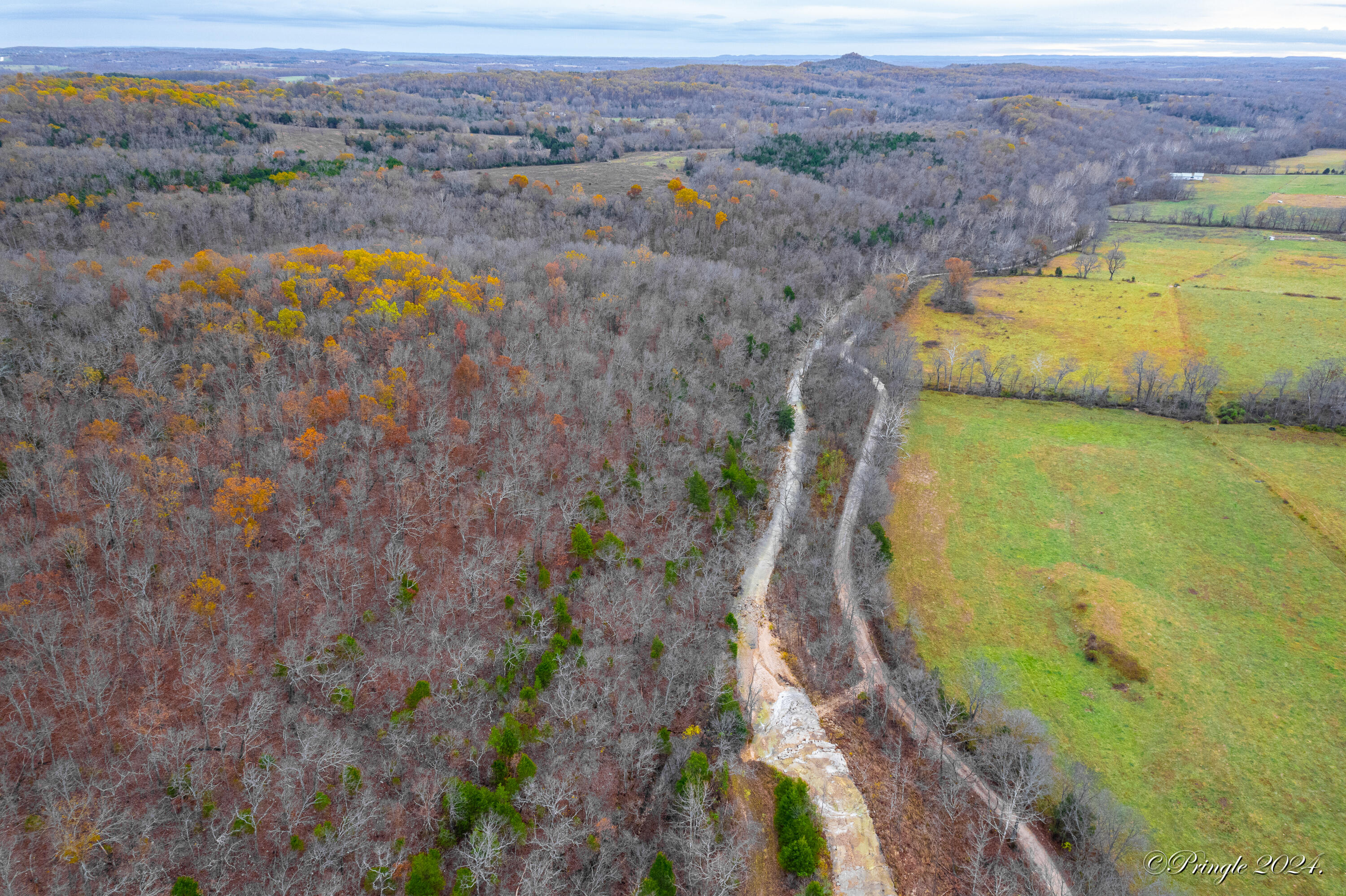 Rt. 1 Box 3530 County Road 14-531 Property Photo 42