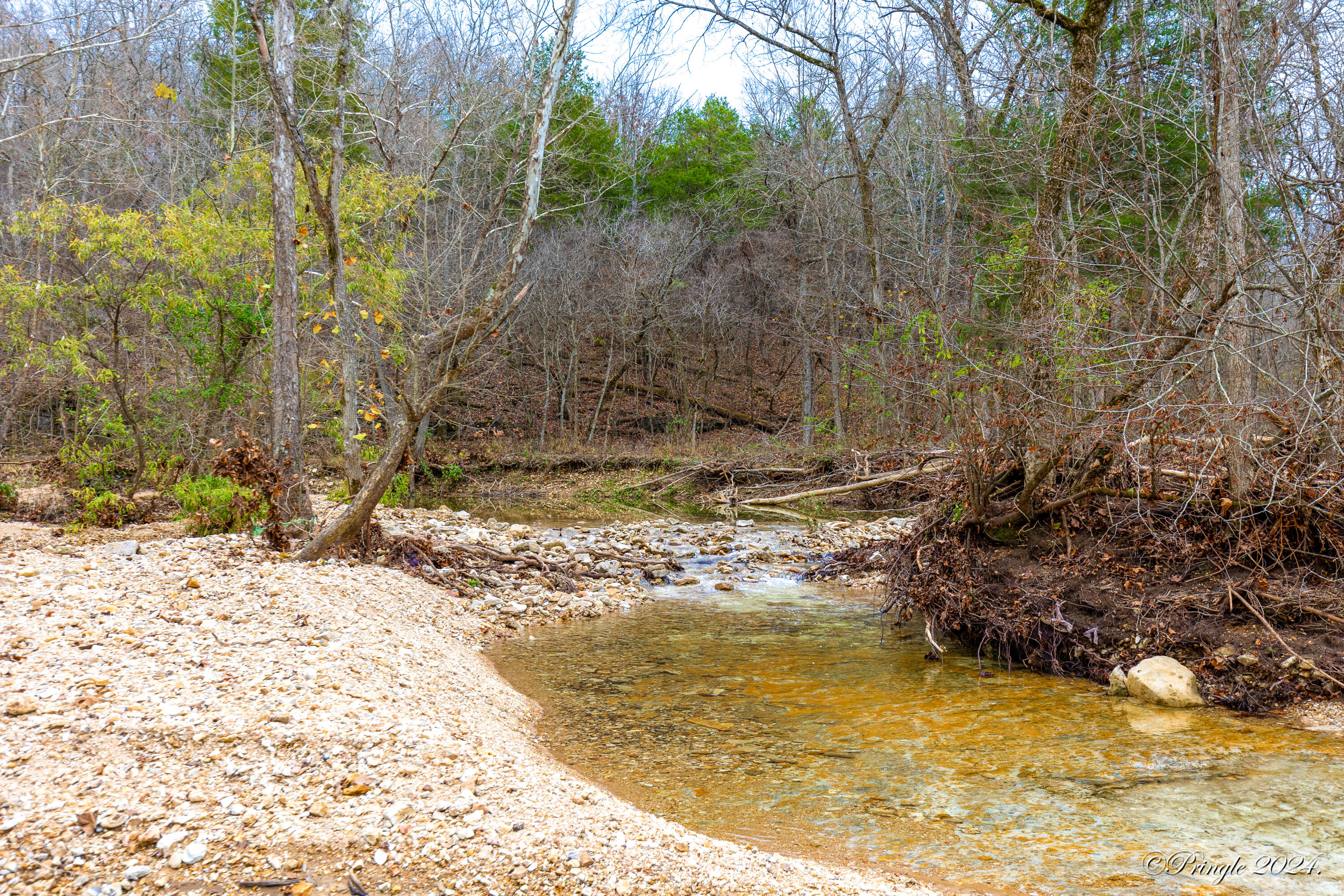 Rt. 1 Box 3530 County Road 14-531 Property Photo 45