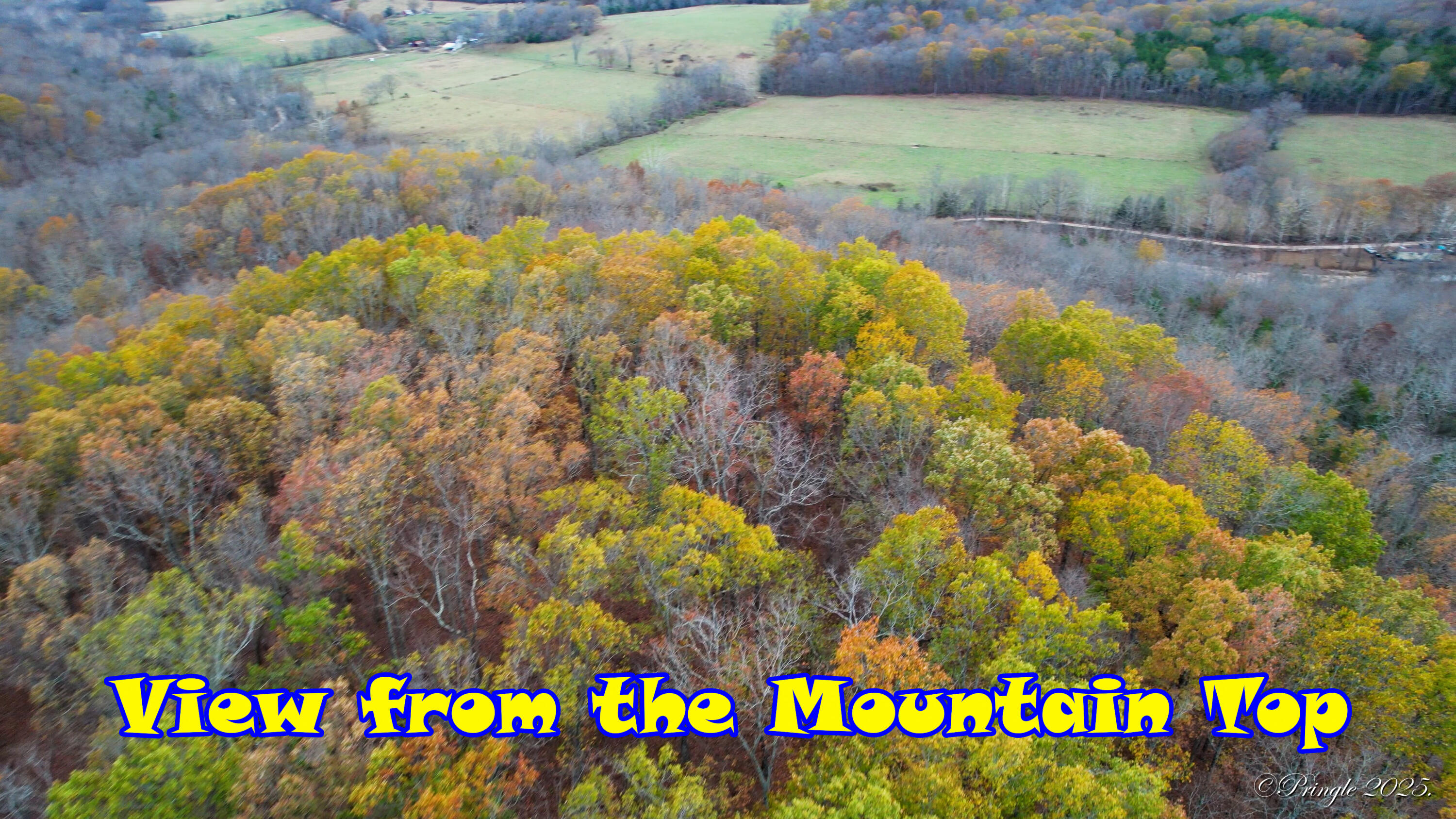 Rt. 1 Box 3530 County Road 14-531 Property Photo 46