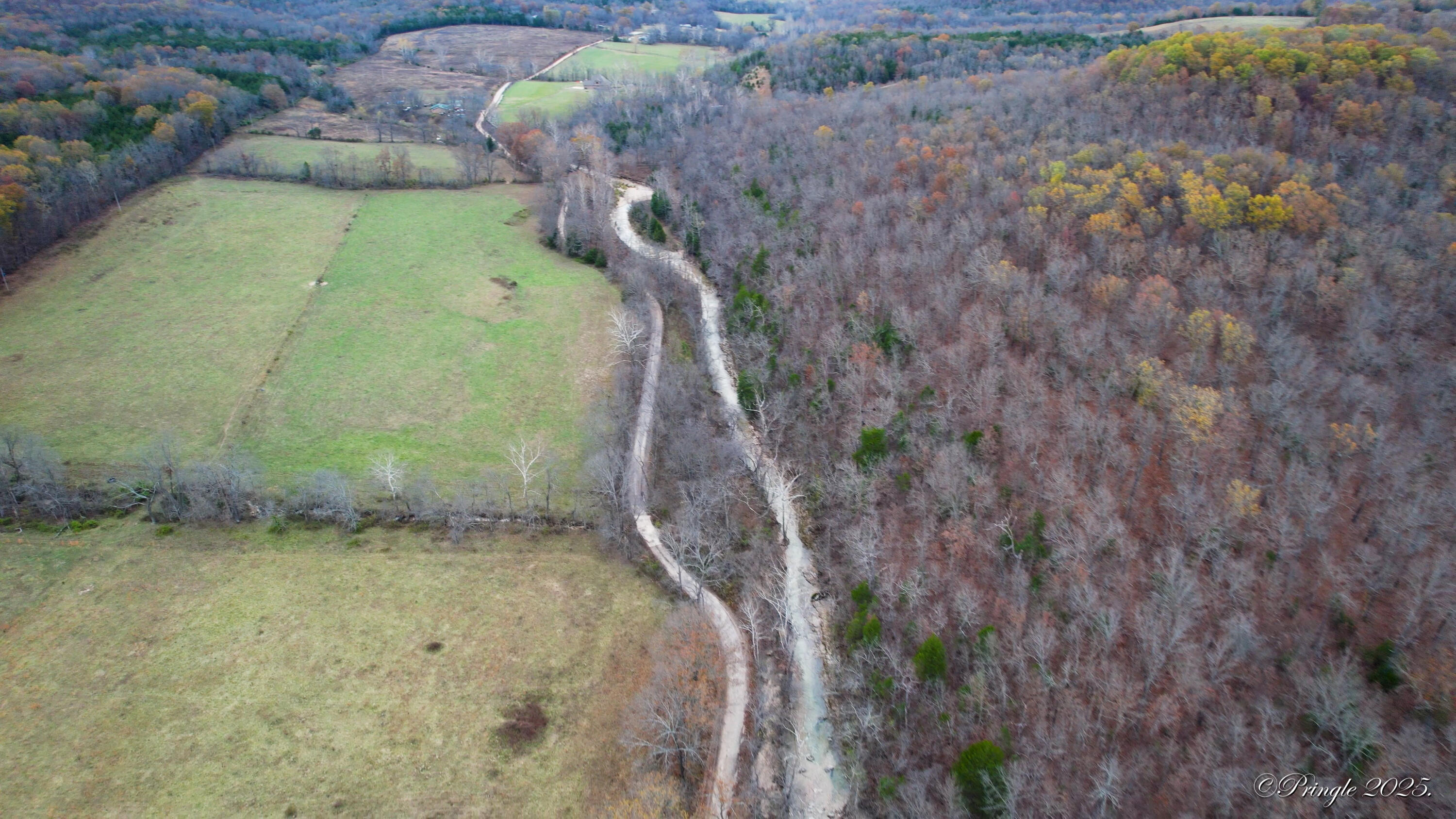 Rt. 1 Box 3530 County Road 14-531 Property Photo 50