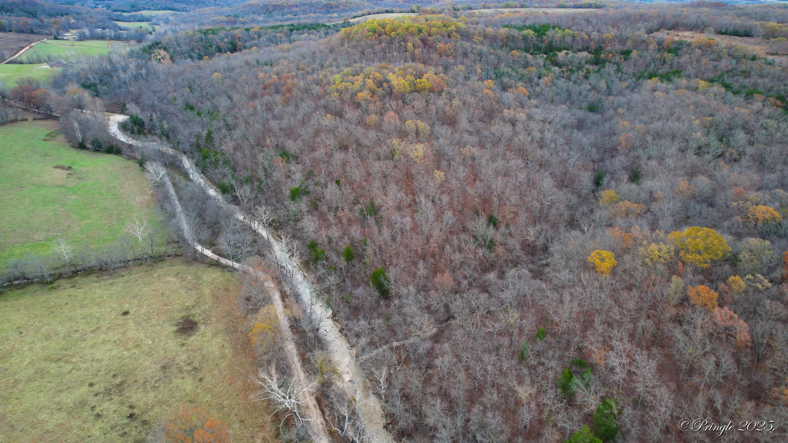 Rt. 1 Box 3530 County Road 14-531 Property Photo 52