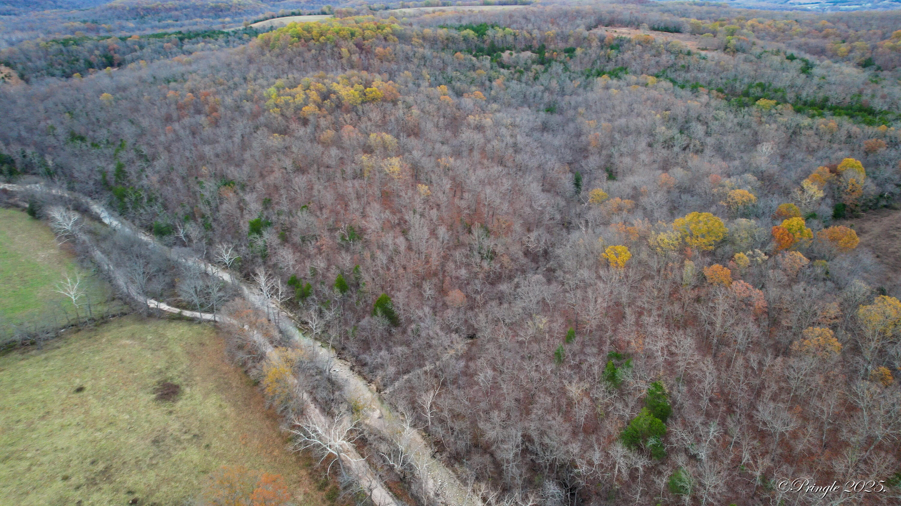 Rt. 1 Box 3530 County Road 14-531 Property Photo 53