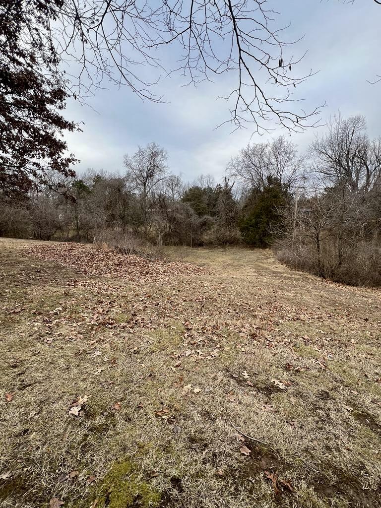 000 Fawn Drive Property Photo 4