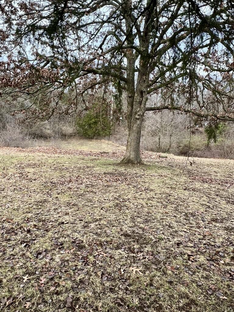 000 Fawn Drive Property Photo 5