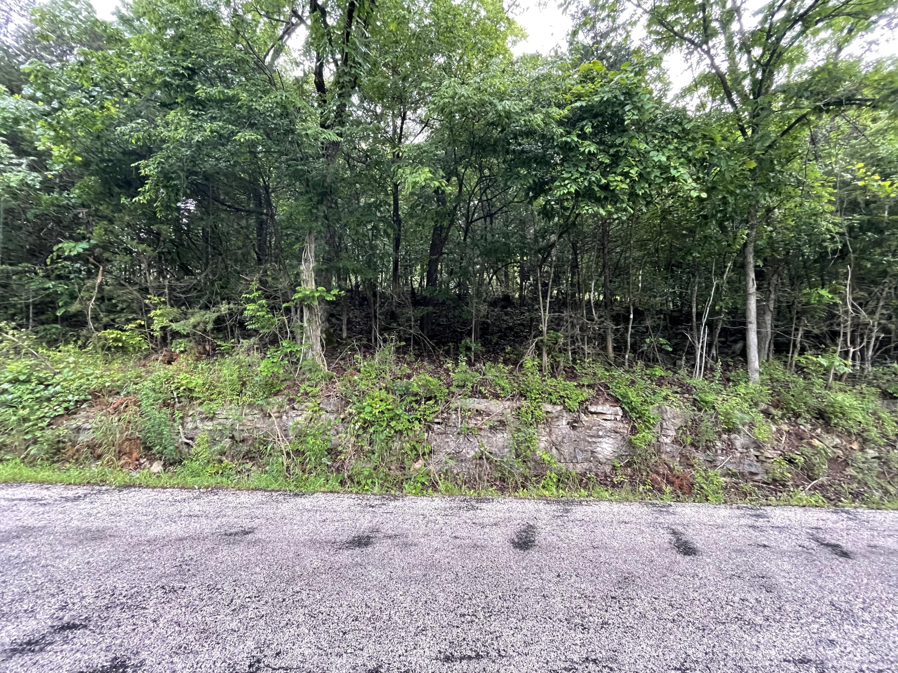 000 Honey Lane Property Photo 3