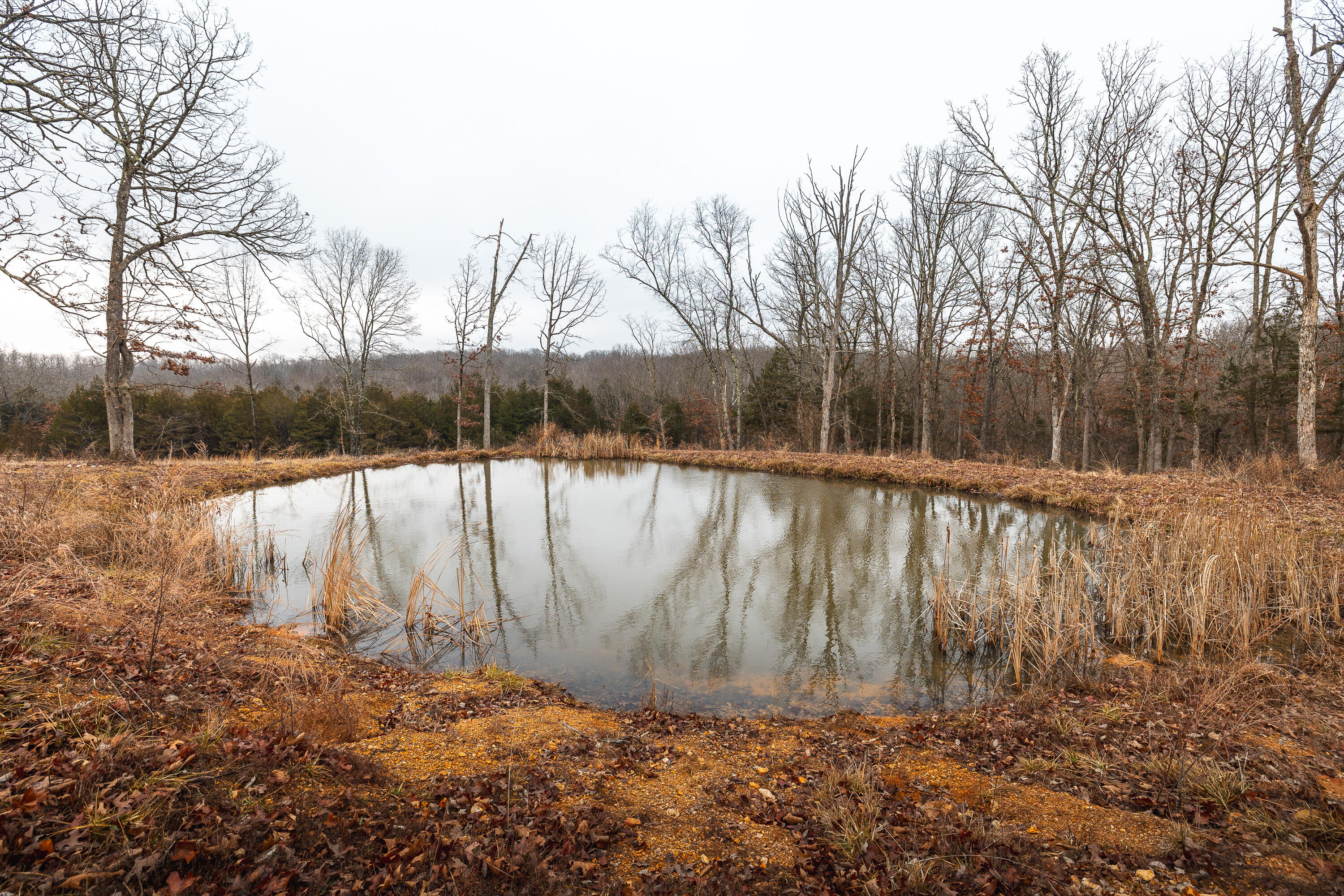 6552 High Point Road Property Photo 57