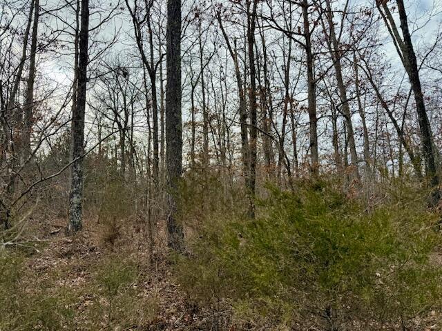 000 State Route Ww Property Photo 2