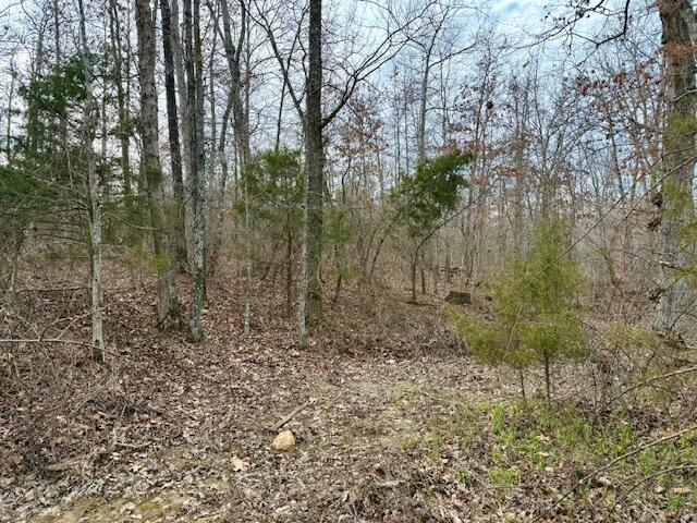 000 State Route Ww Property Photo 3