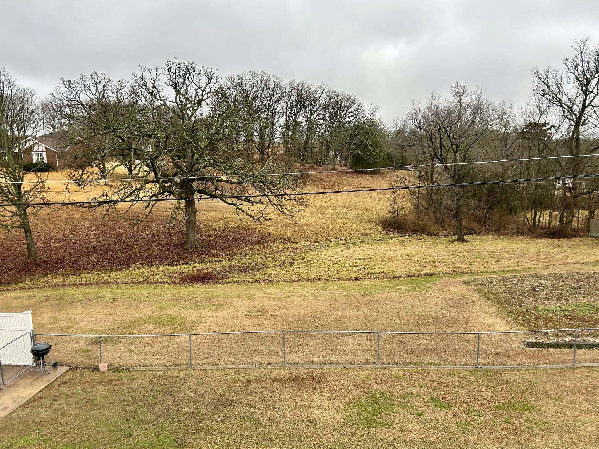503 Curry Avenue Property Photo 49