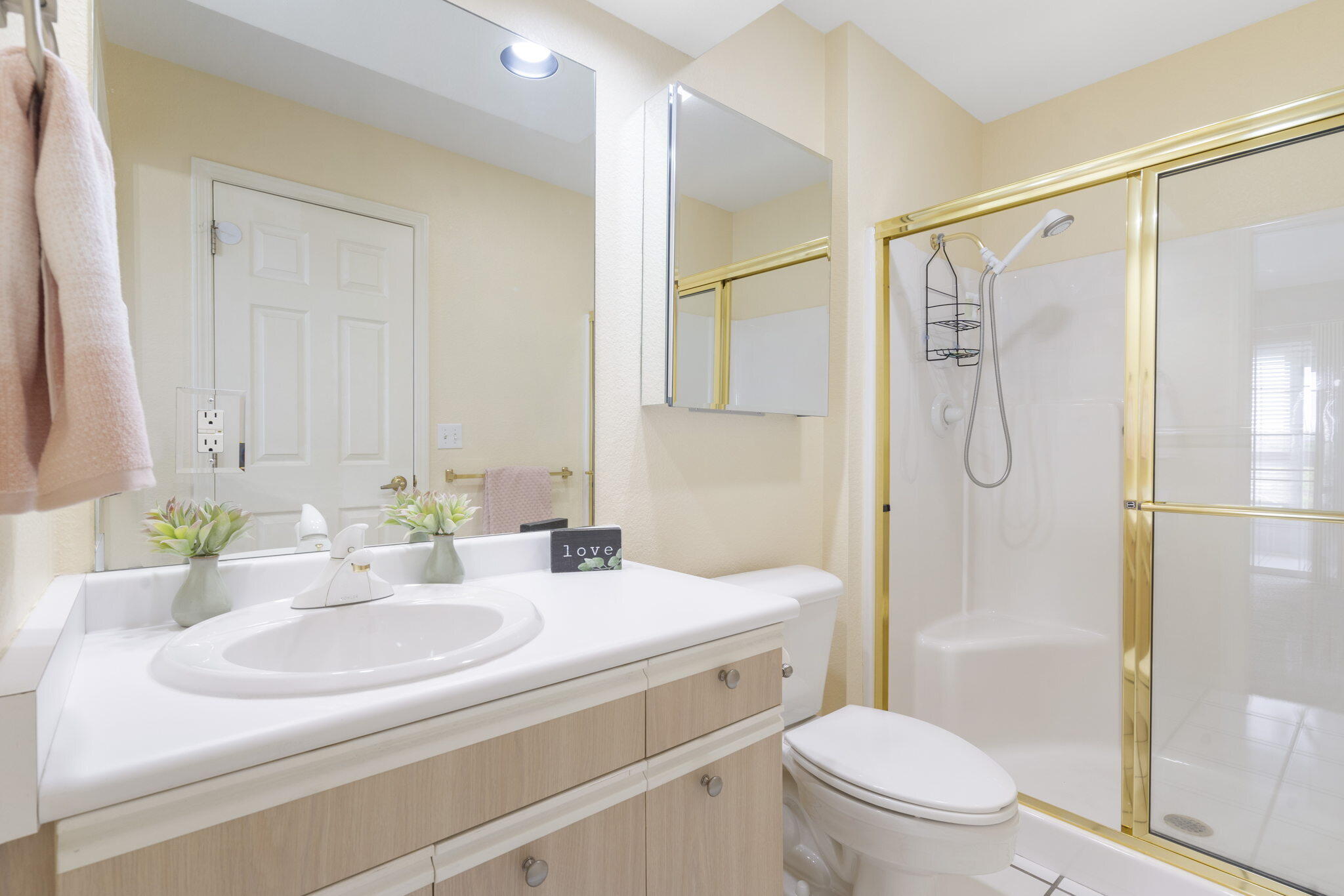 530 Spring Creek Court Property Photo 14