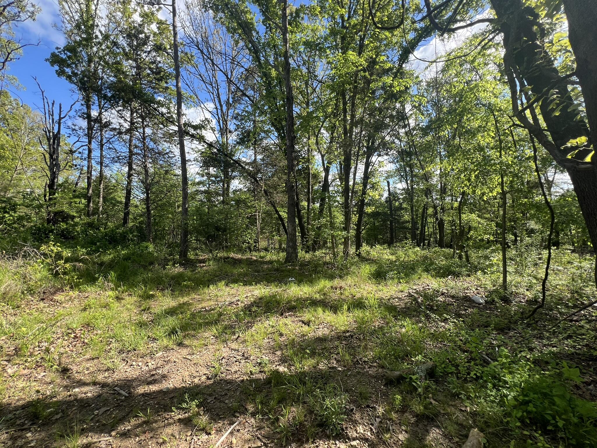 2753 State Route 76 Property Photo 42