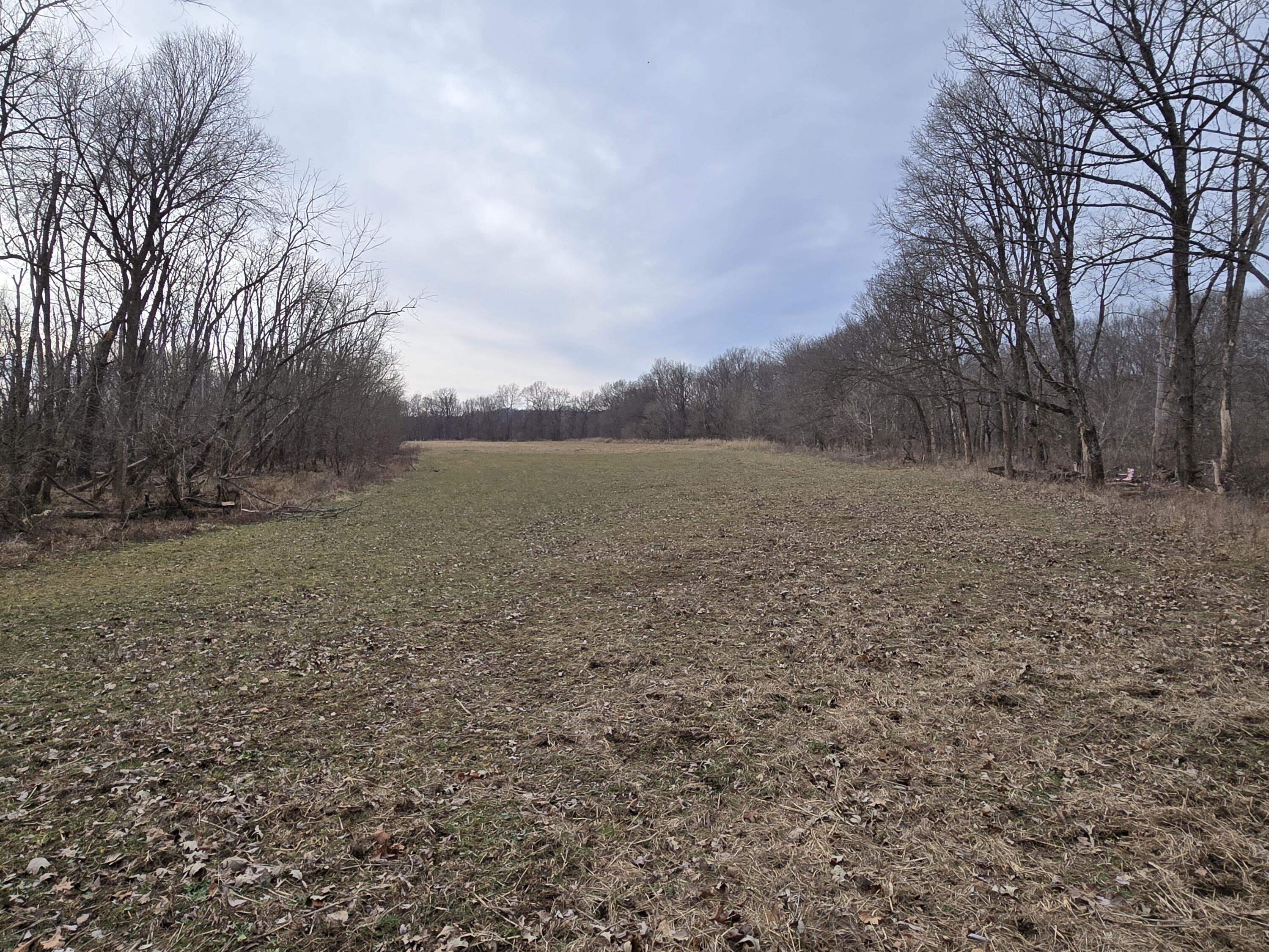 000 Hico Road Property Photo 14