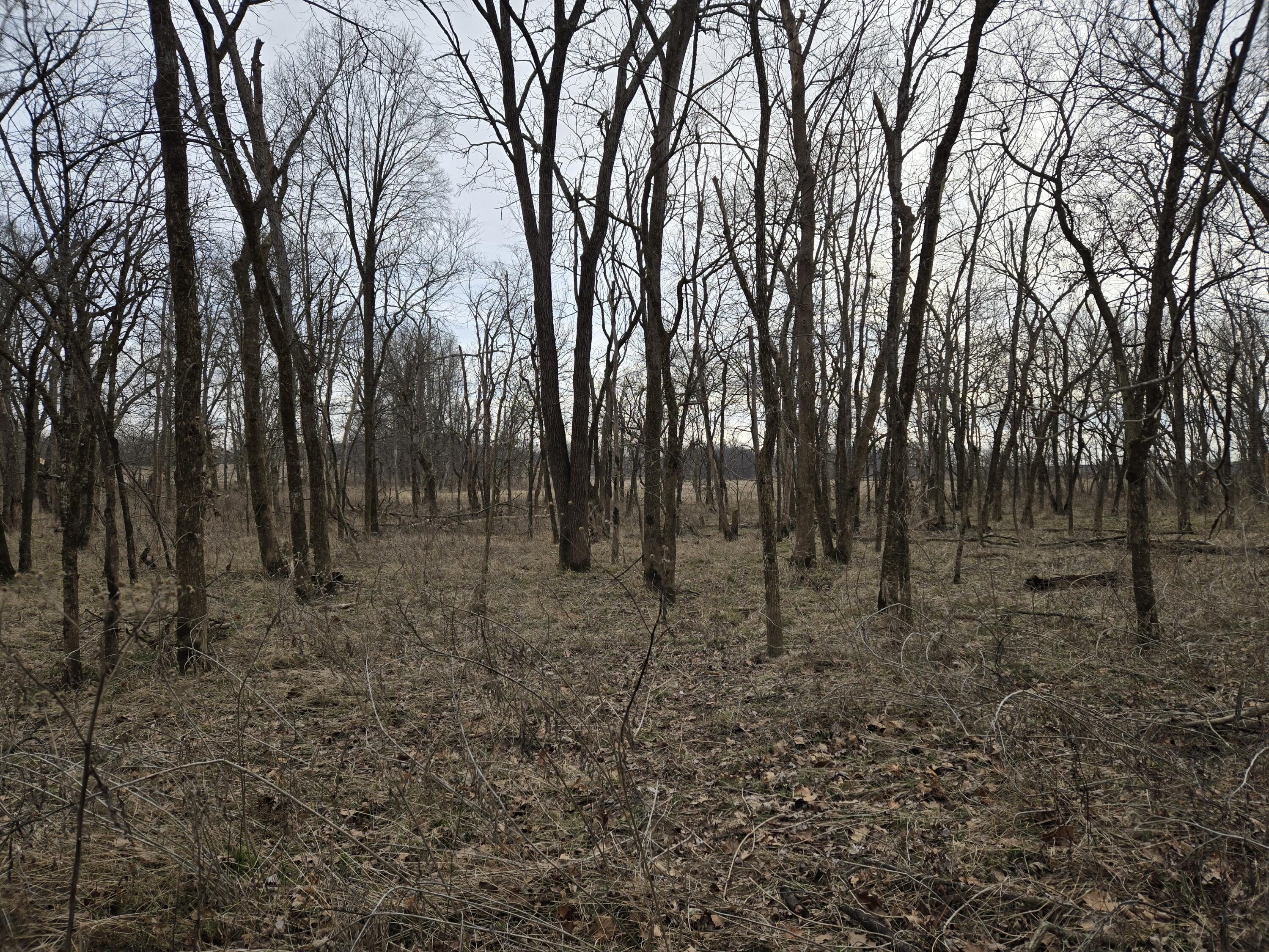 000 Hico Road Property Photo 16